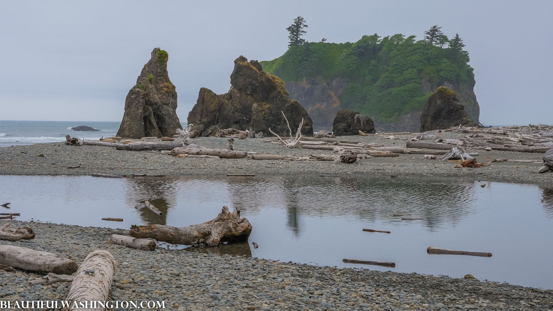 Photo from Washington State