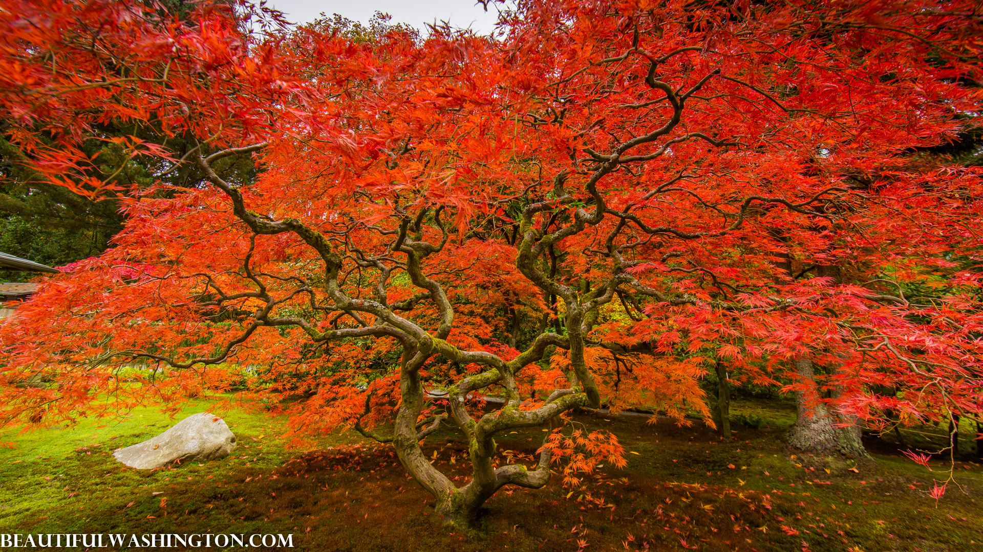 Photo from Washington State