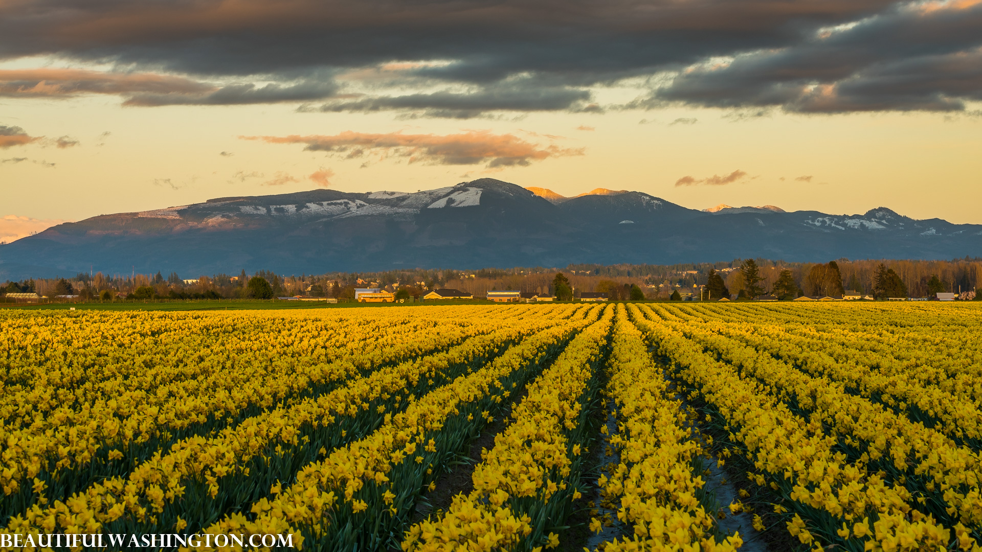 Photo from Washington State