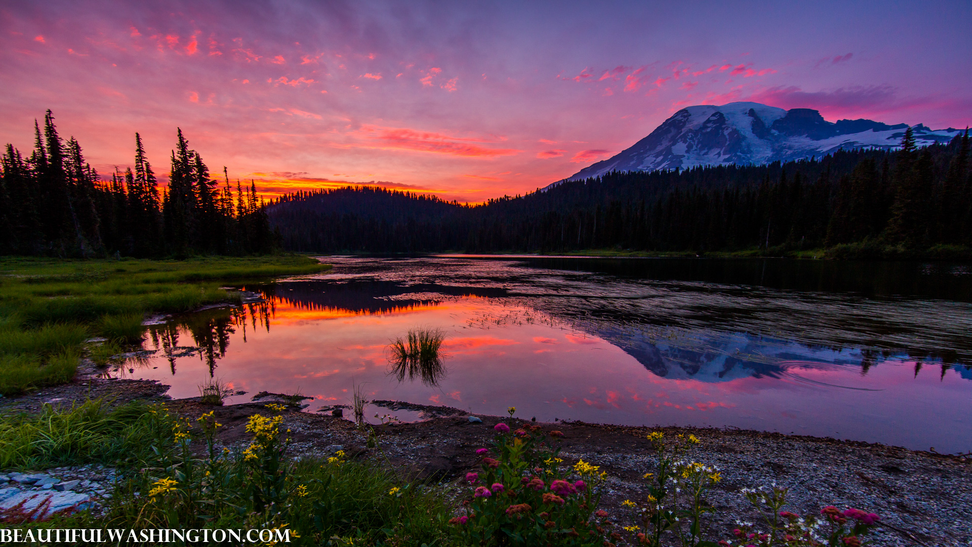 Photo from Washington State