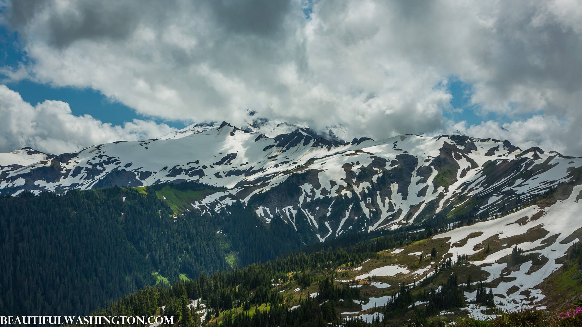 Photo from Washington State