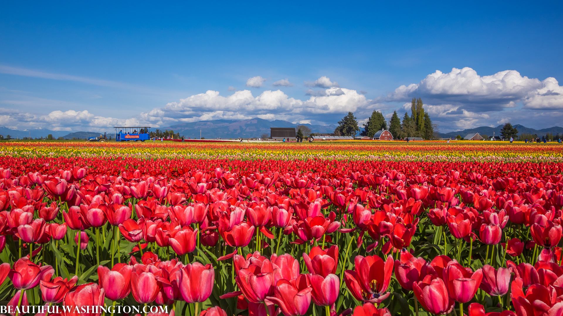 Photo from Washington State