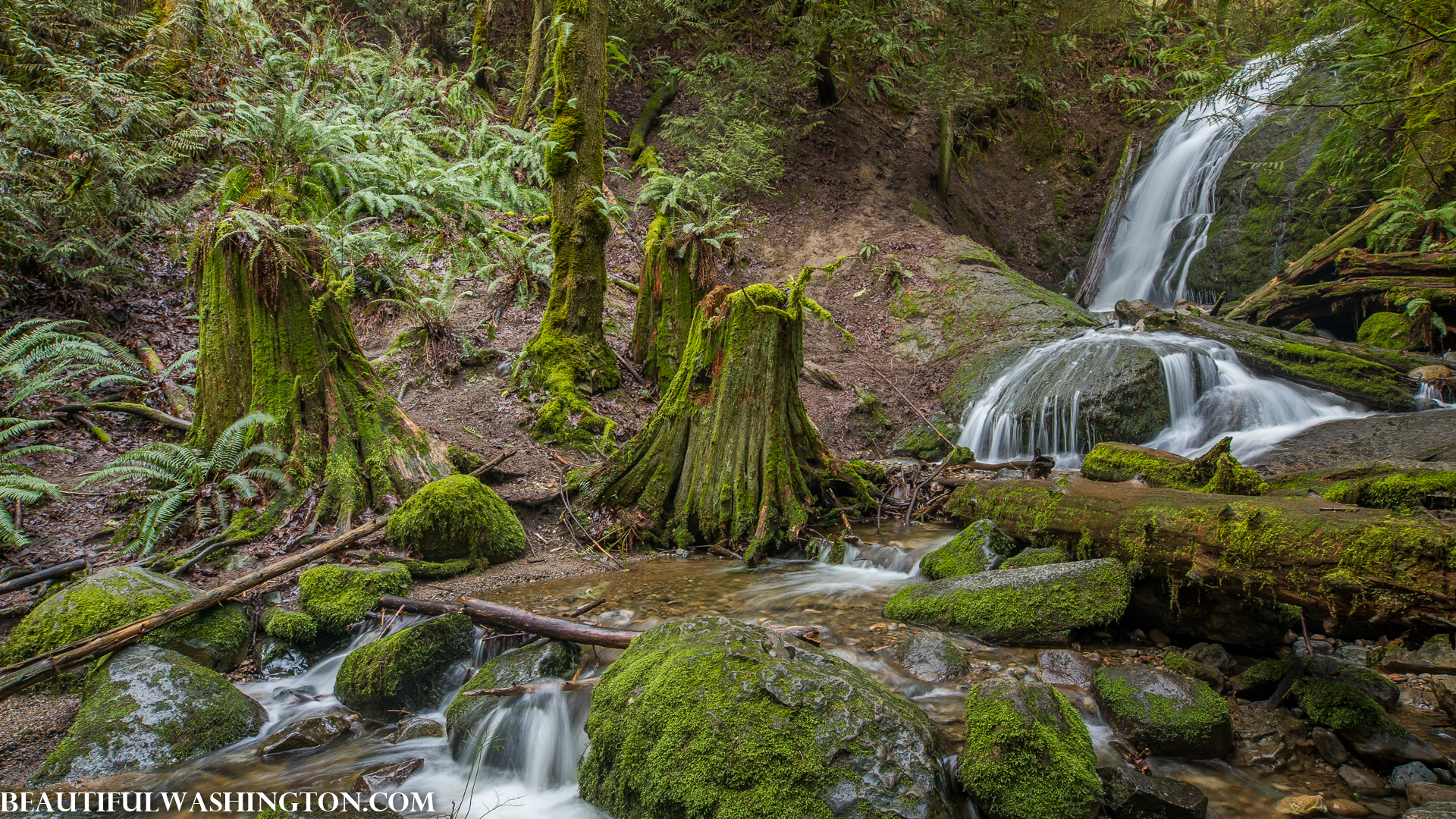 Photo from Washington State