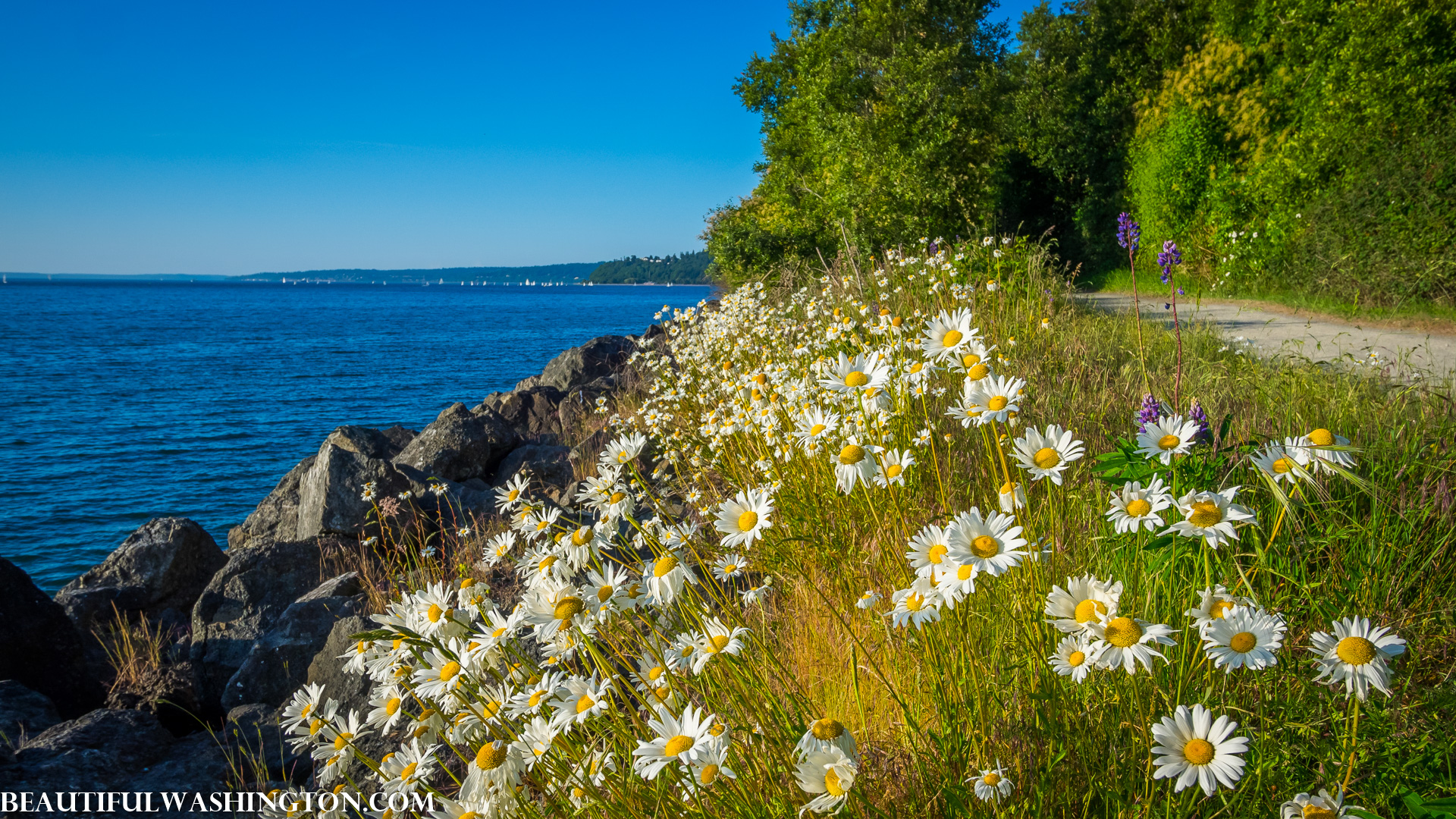 Photo from Washington State