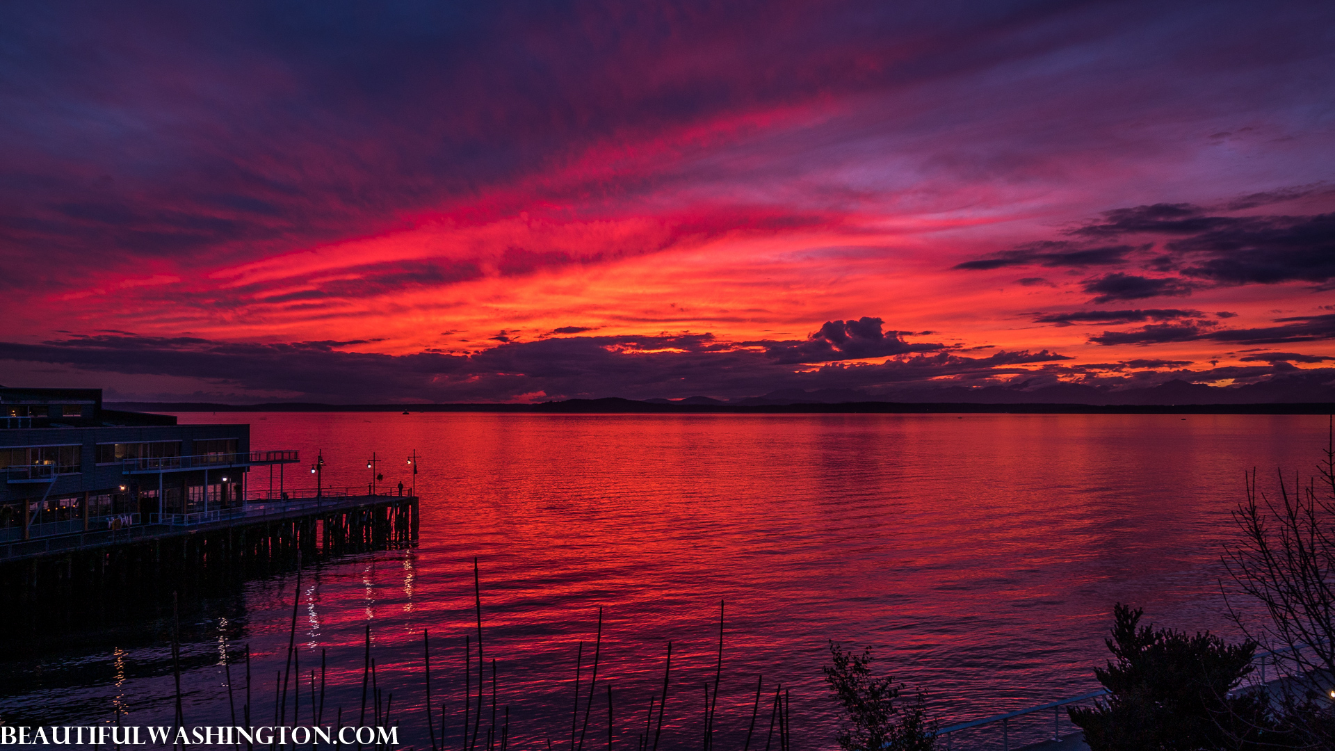 Photo from Washington State