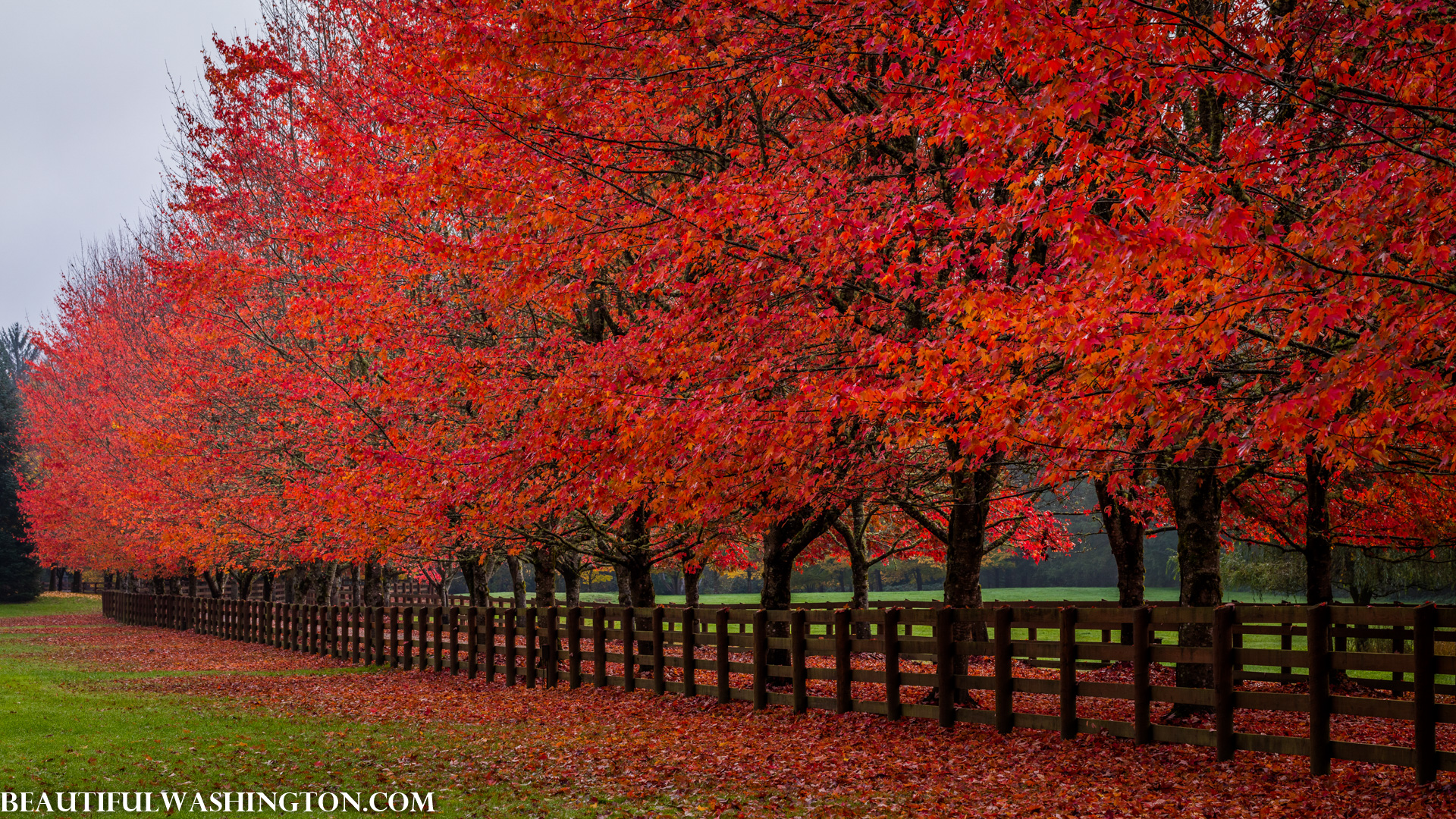 Photo from Washington State