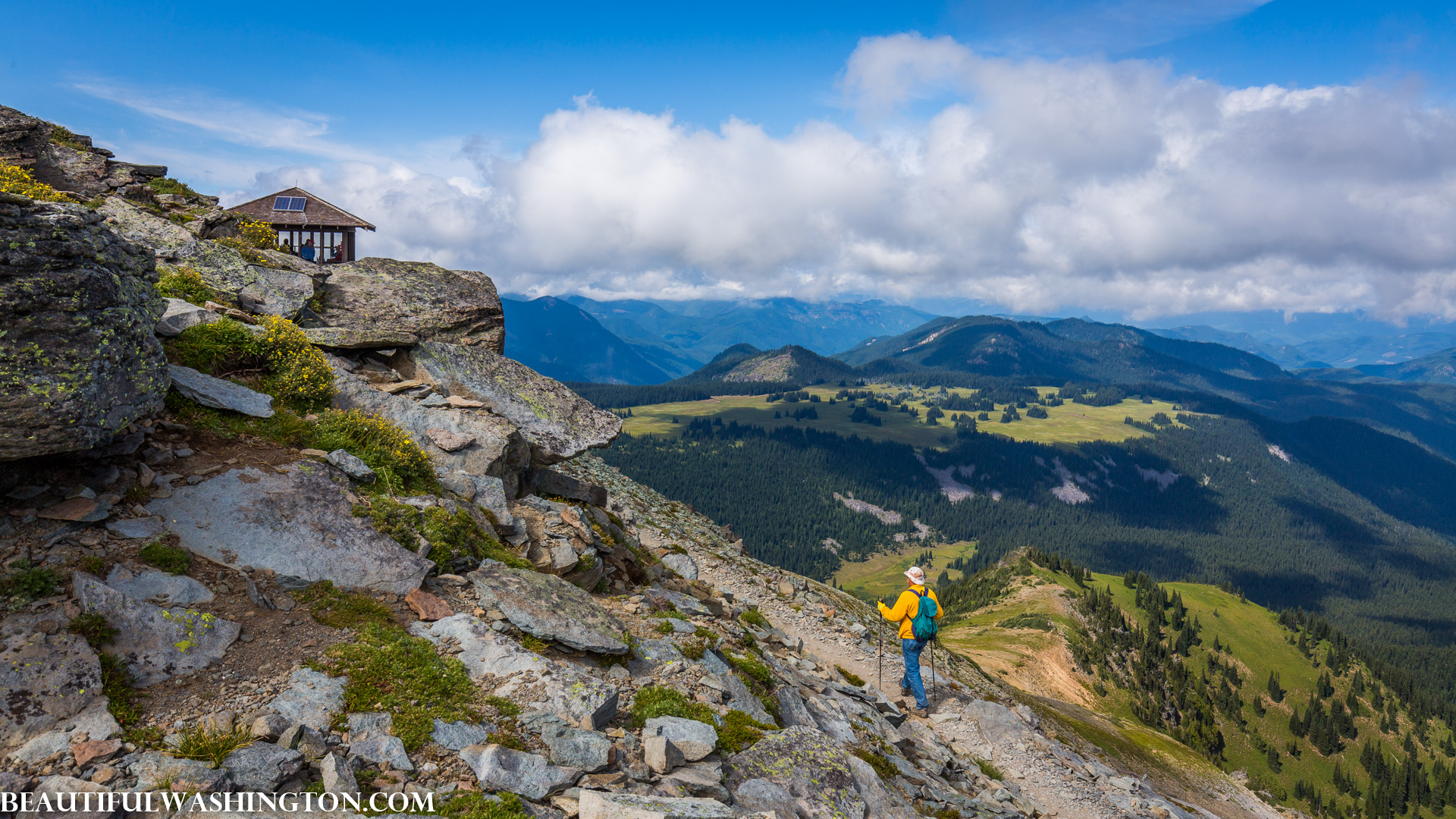 Photo from Washington State