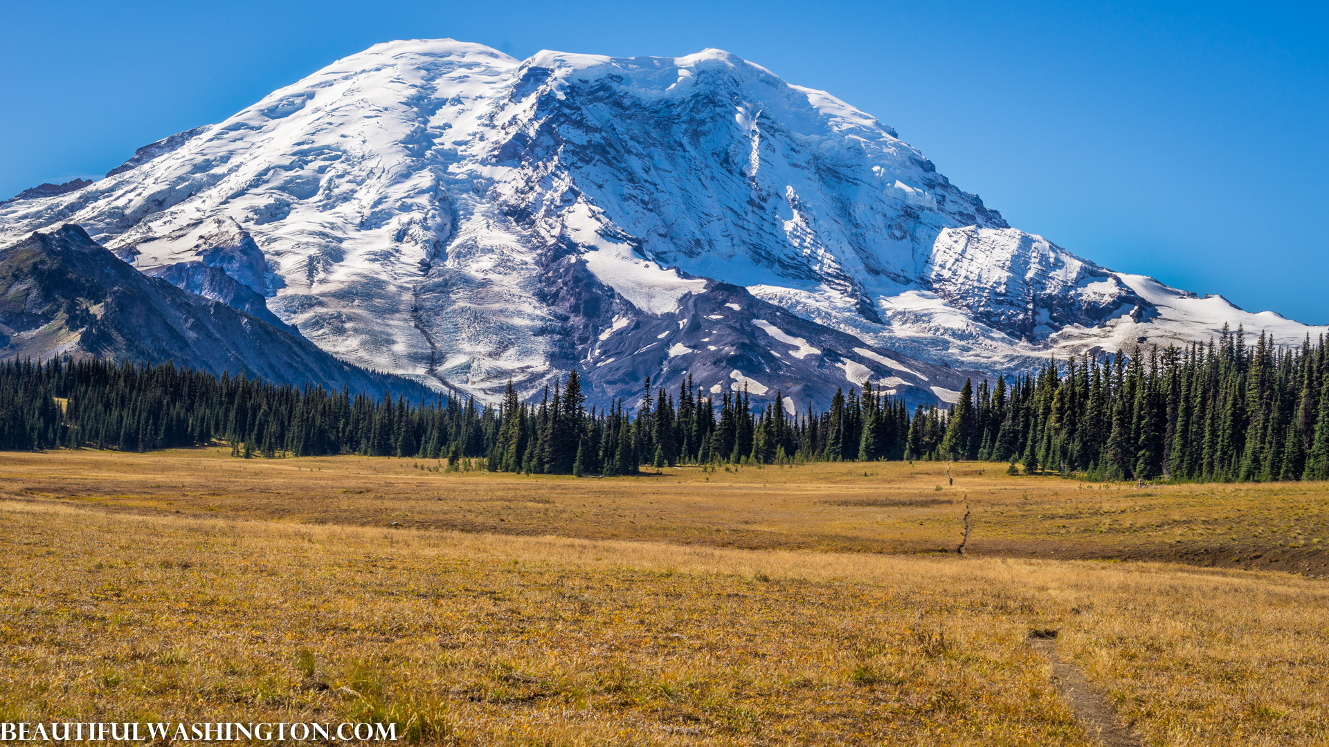 Photo from Washington State