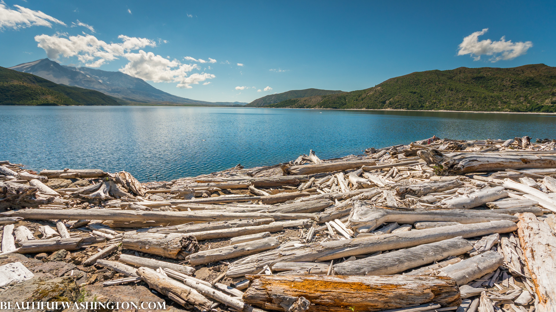 Photo from Washington State