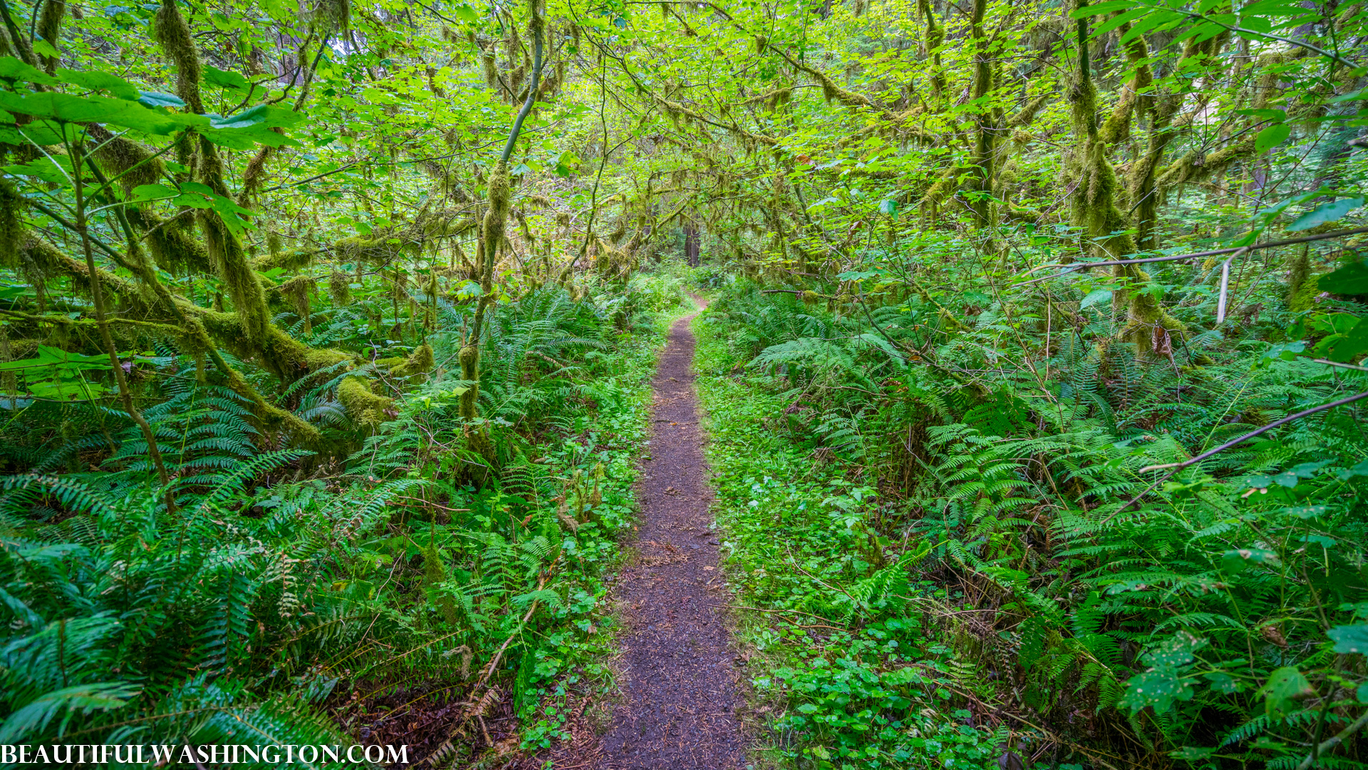 Photo from Washington State