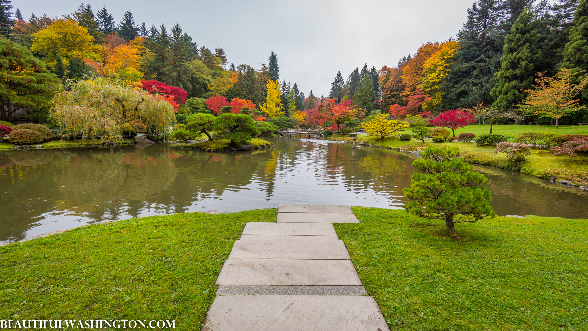 Photo from Washington State