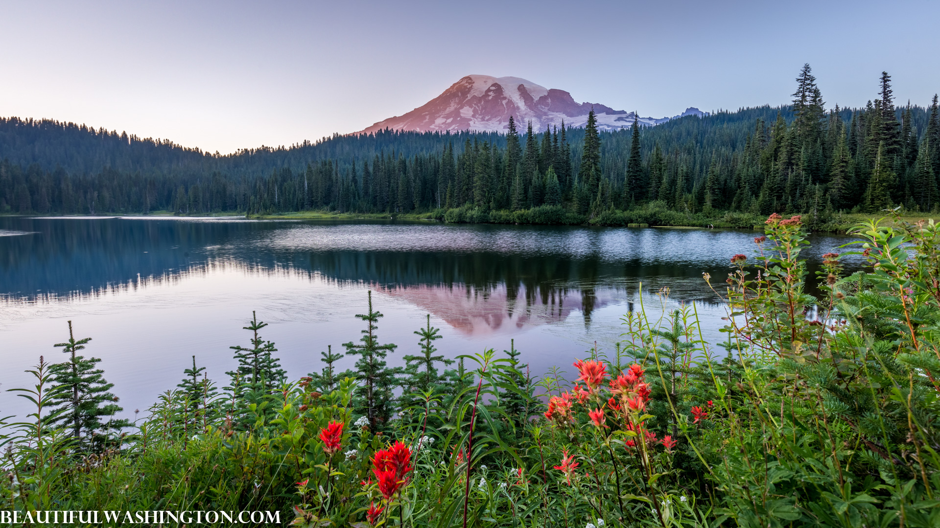 Photo from Washington State