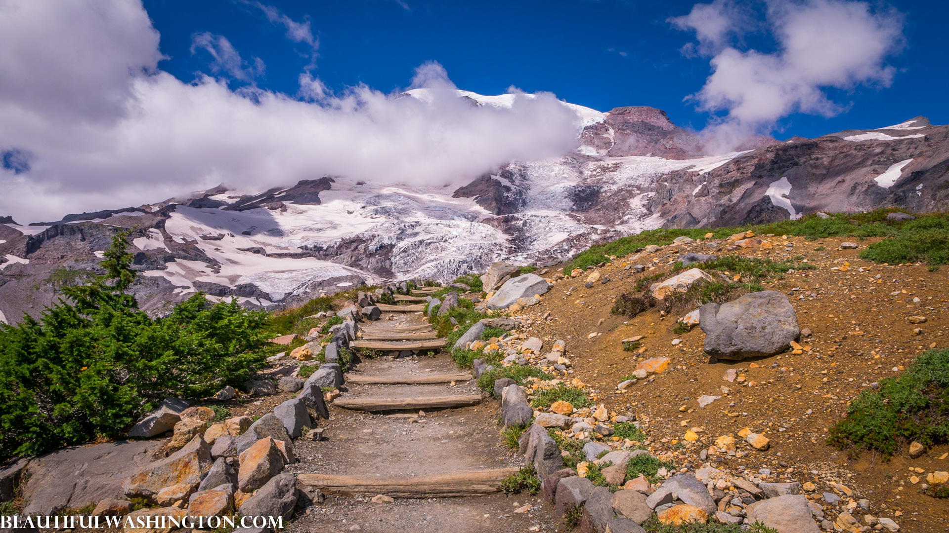 Photo from Washington State