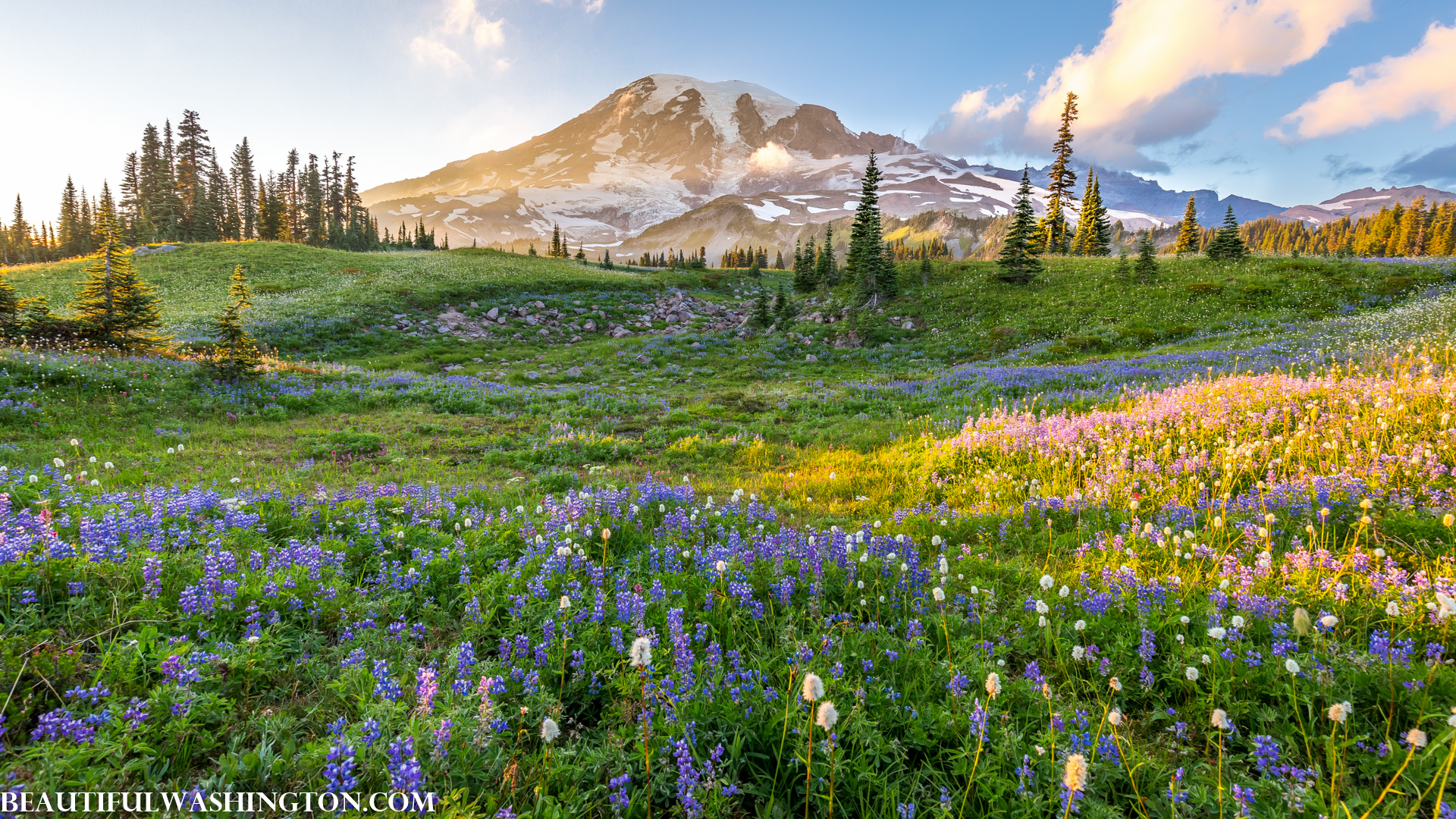 Photo from Washington State