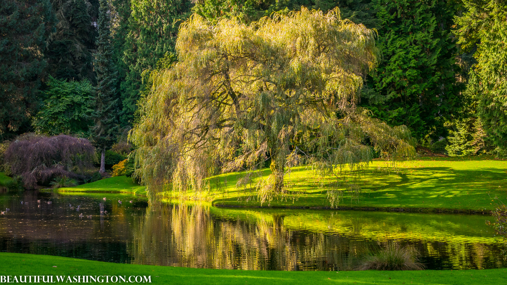 Photo from Washington State