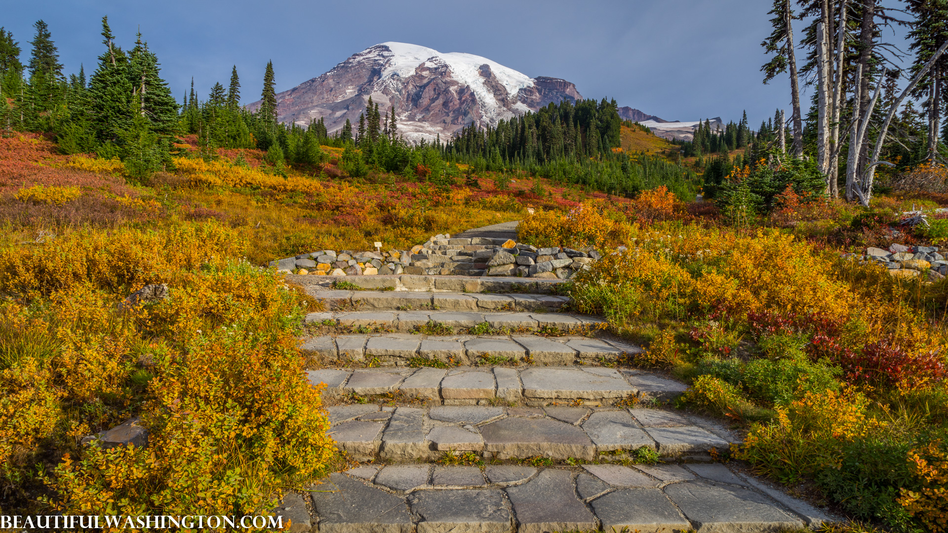 Photo from Washington State