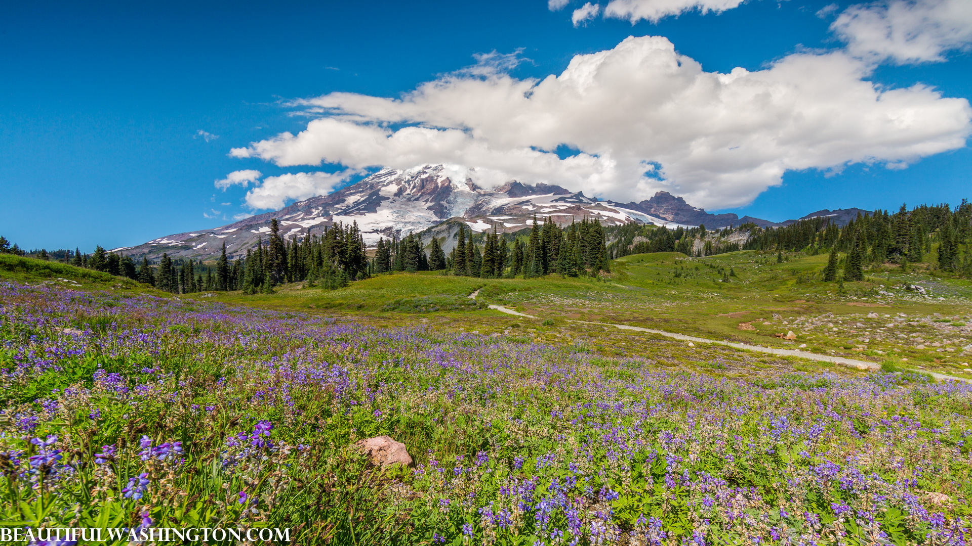 Photo from Washington State