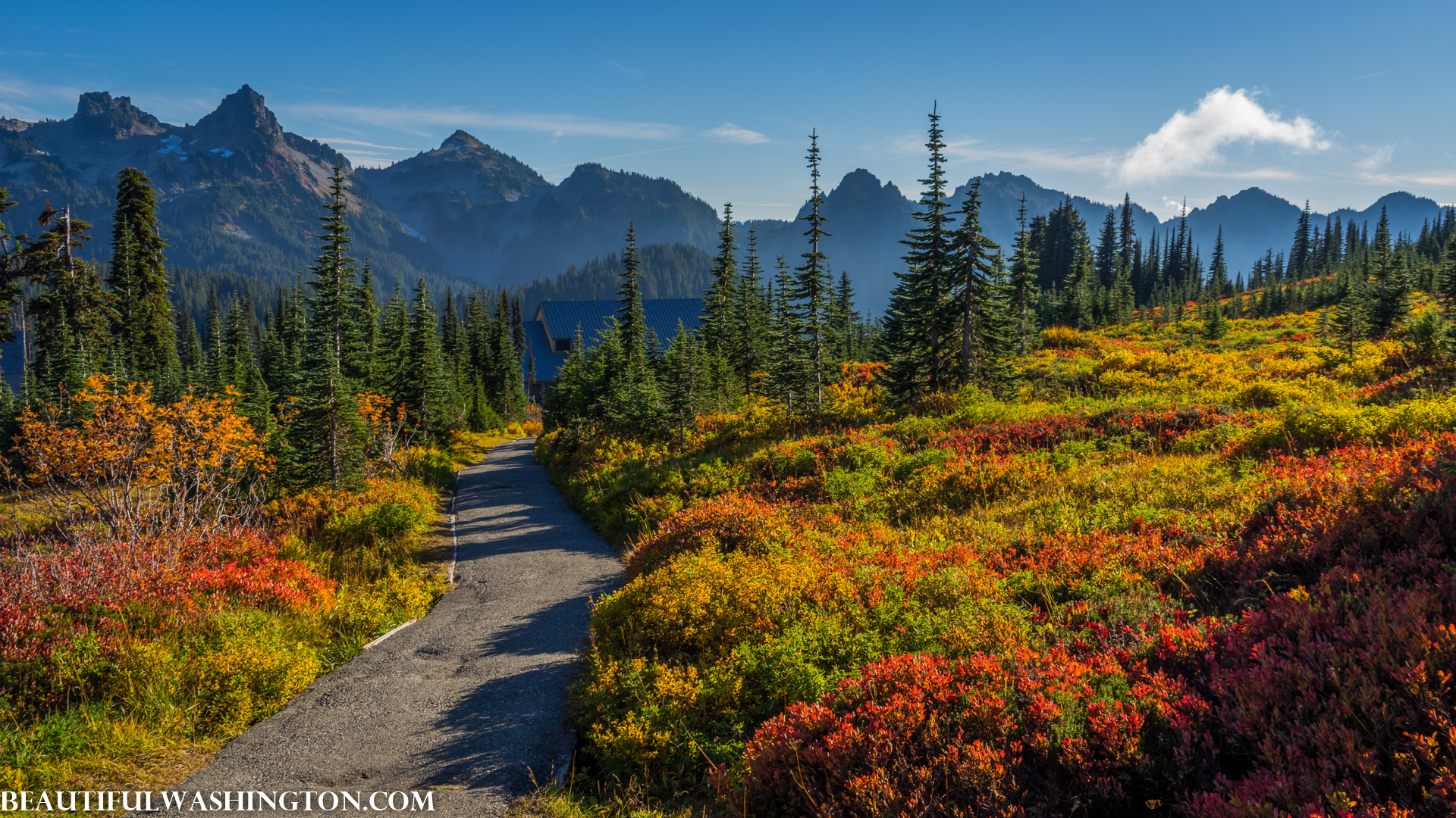 Photo from Washington State