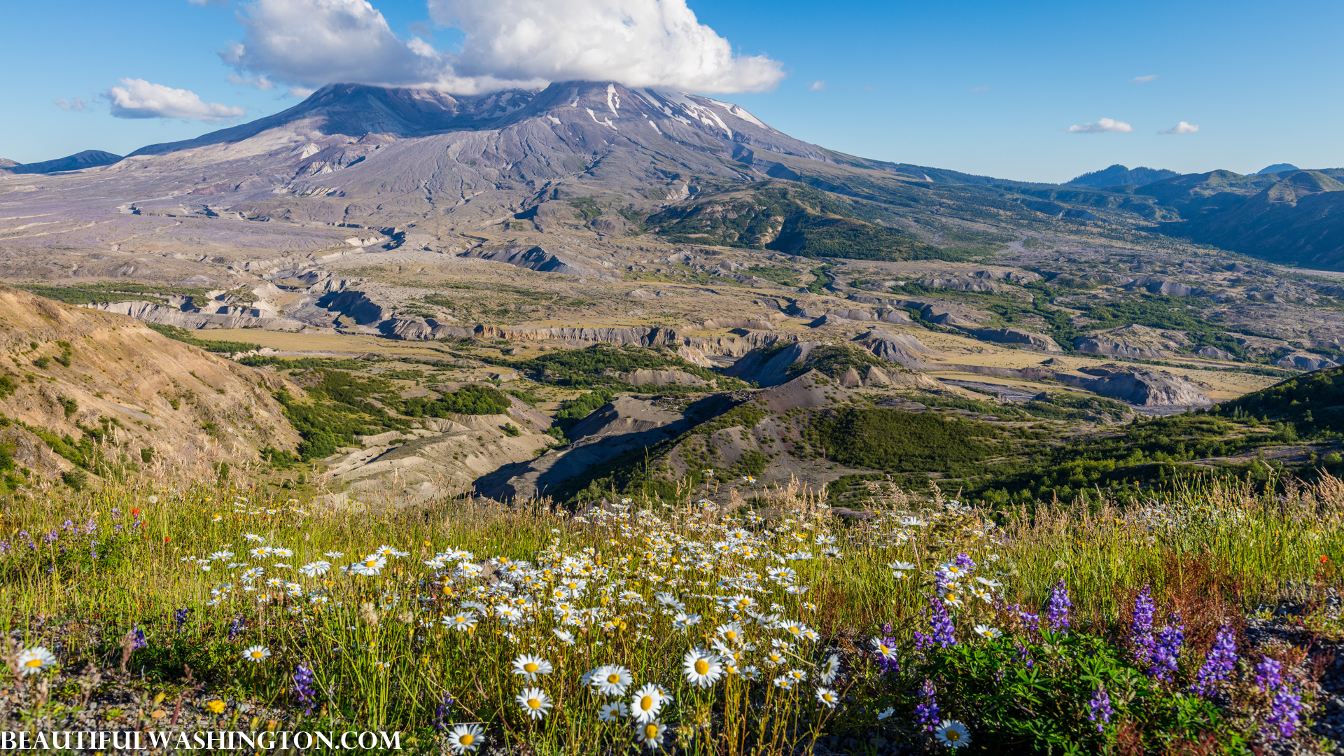 Photo from Washington State