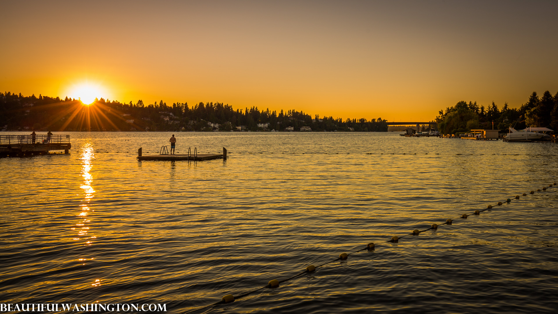 Photo from Washington State