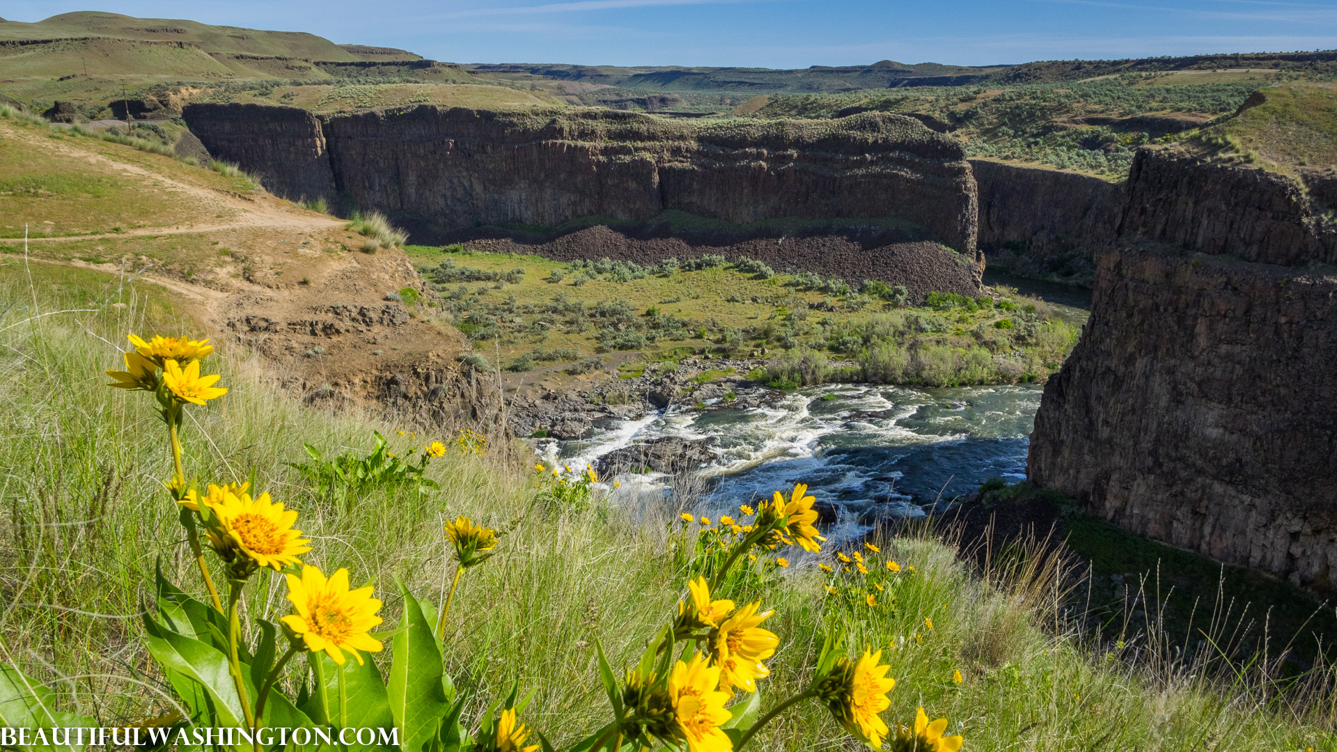 Photo from Washington State