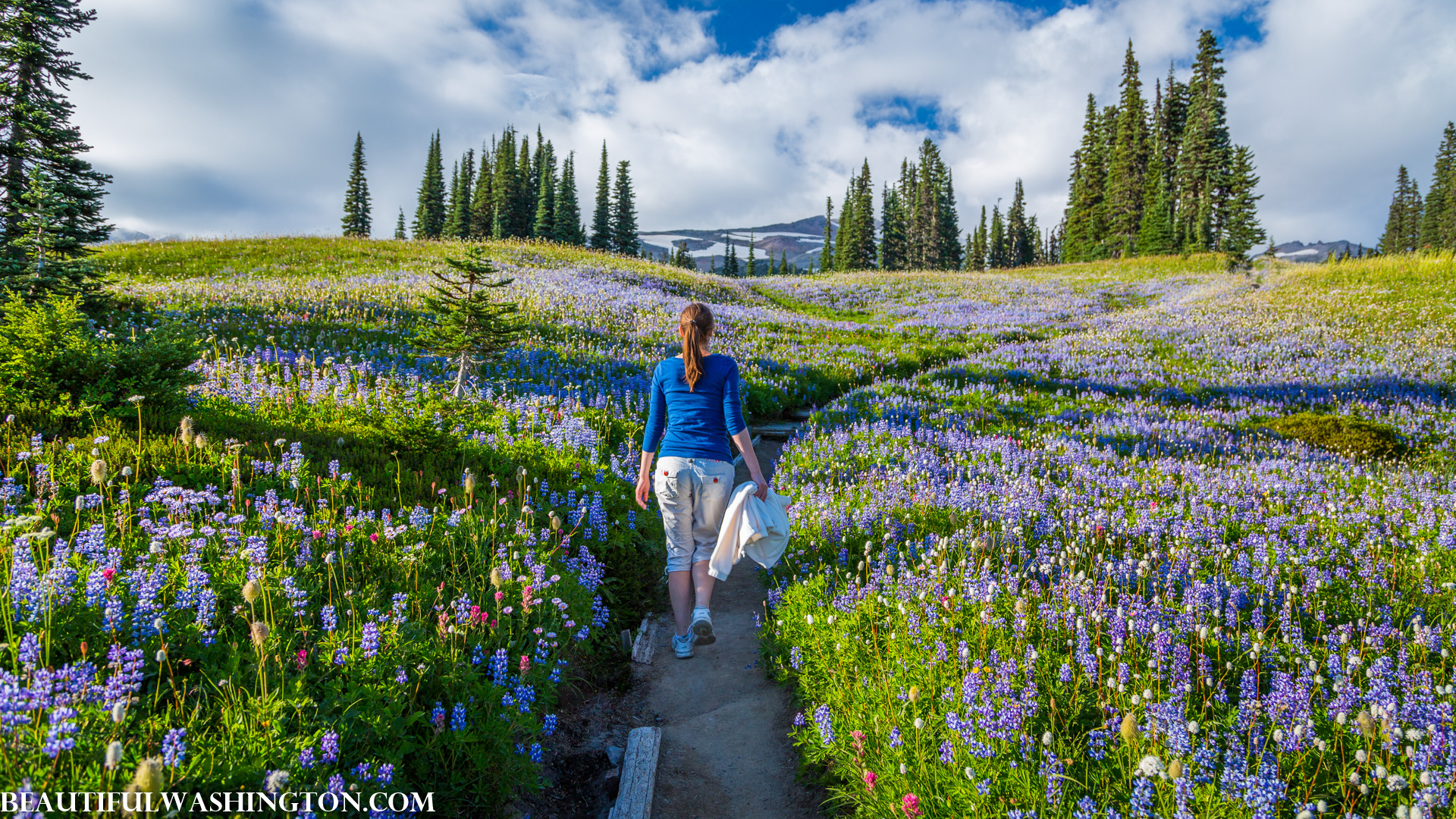 Photo from Washington State