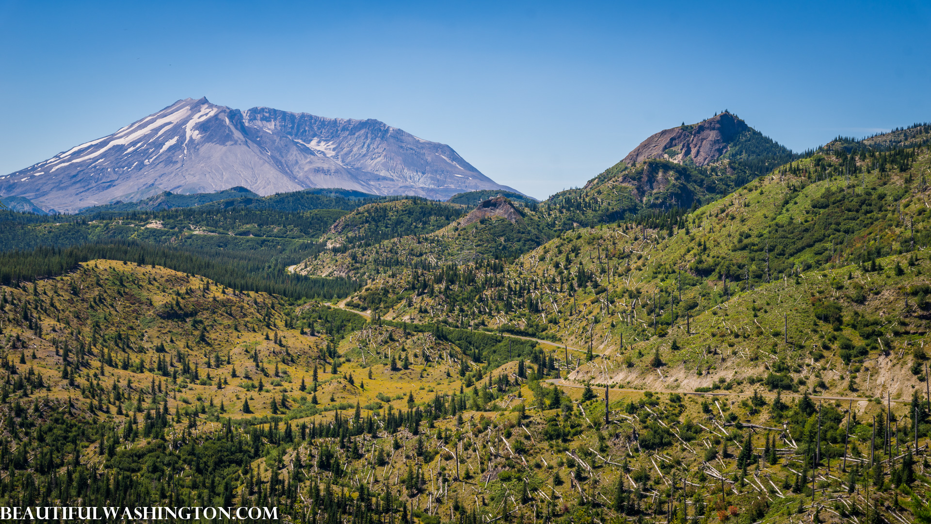 Photo from Washington State