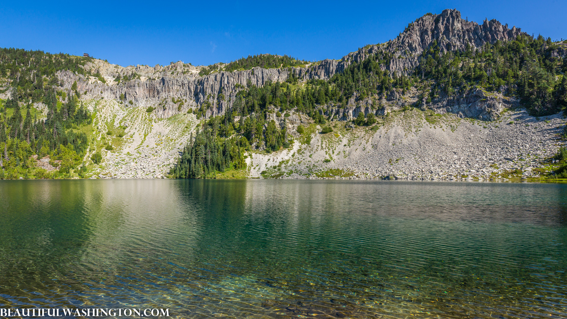 Photo from Washington State