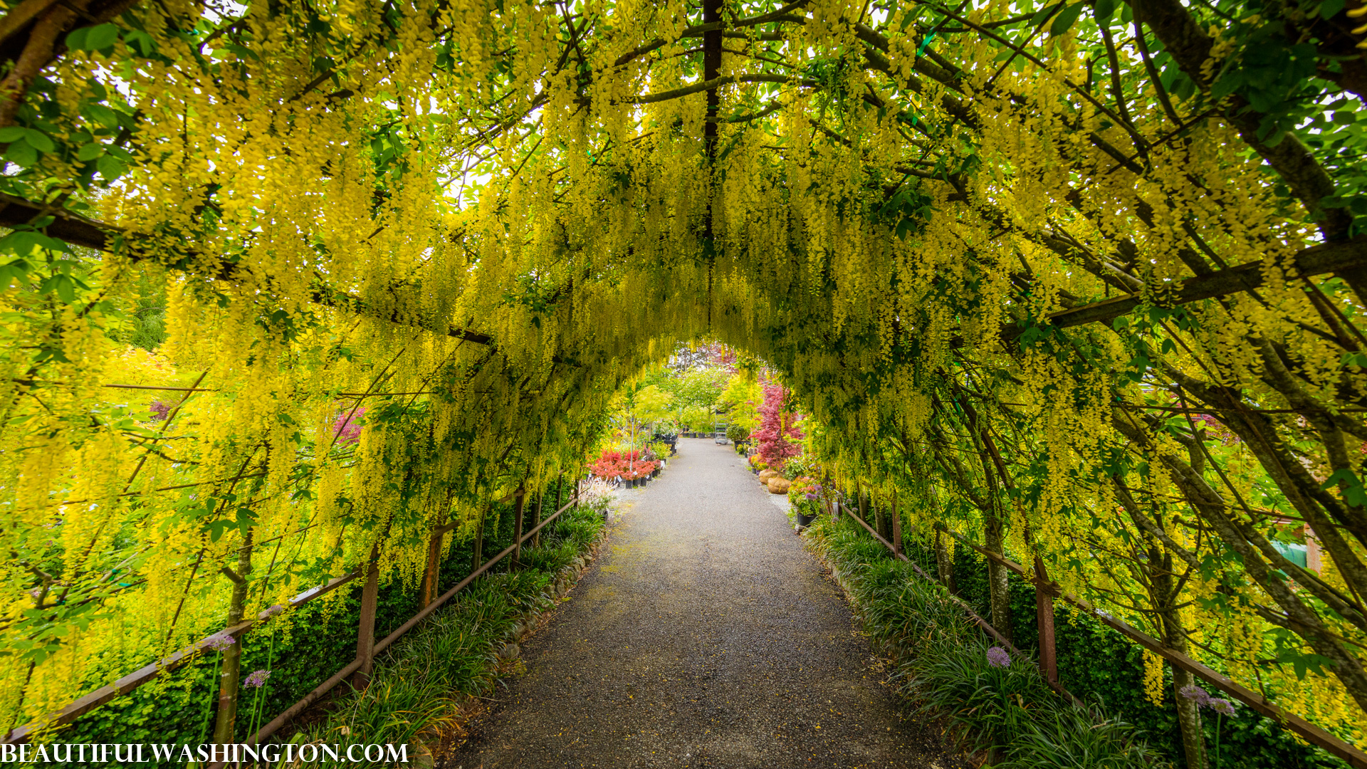 Photo from Washington State