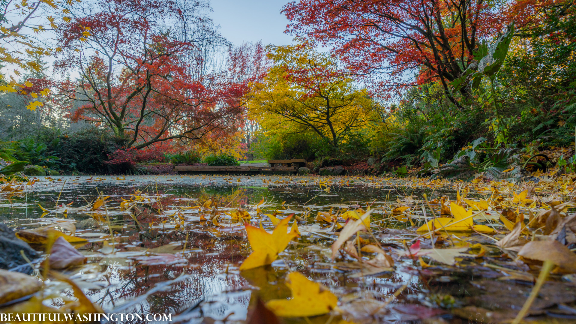 Photo from Washington State