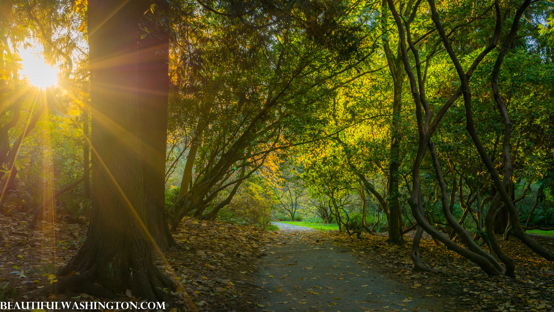 Photo from Washington State