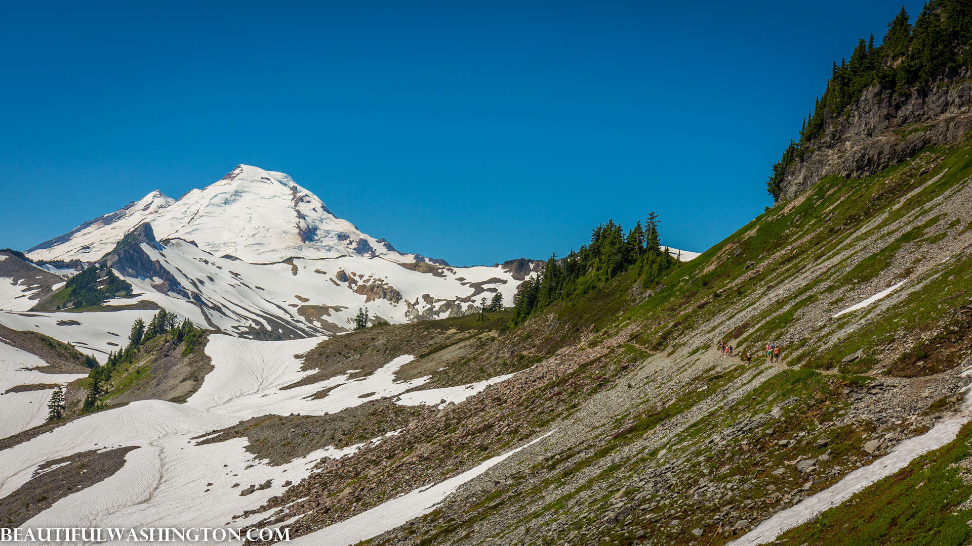 Photo from Washington State