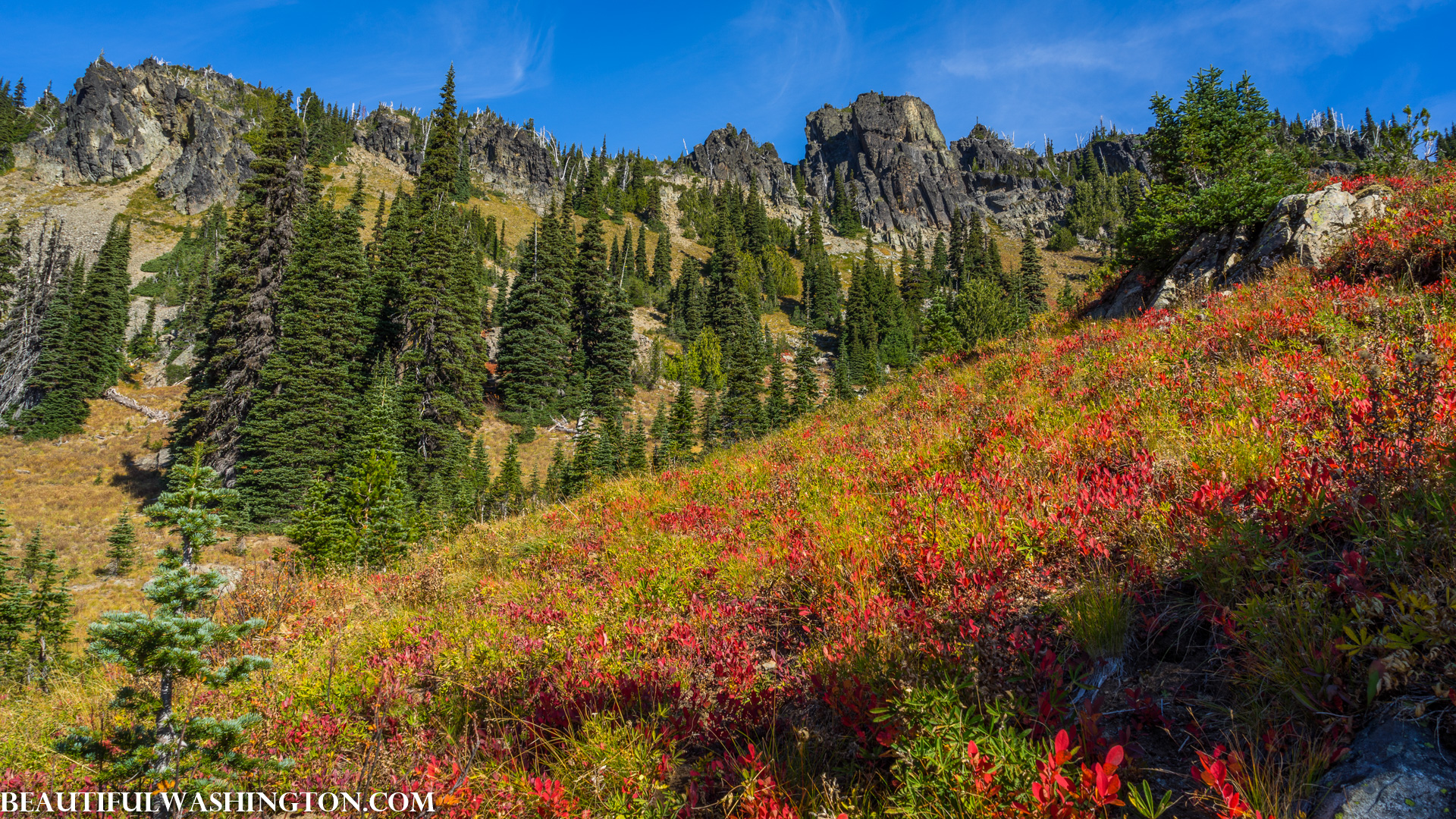 Photo from Washington State