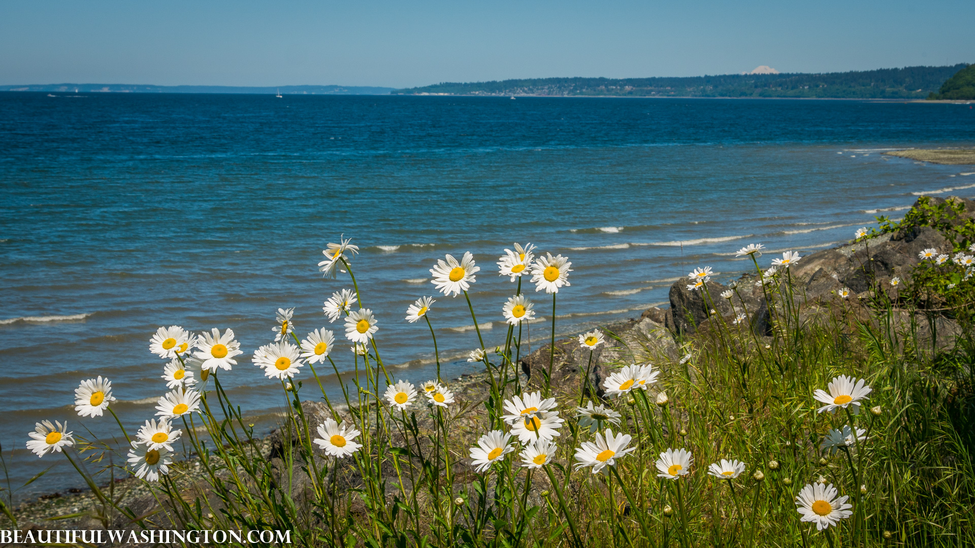 Photo from Washington State