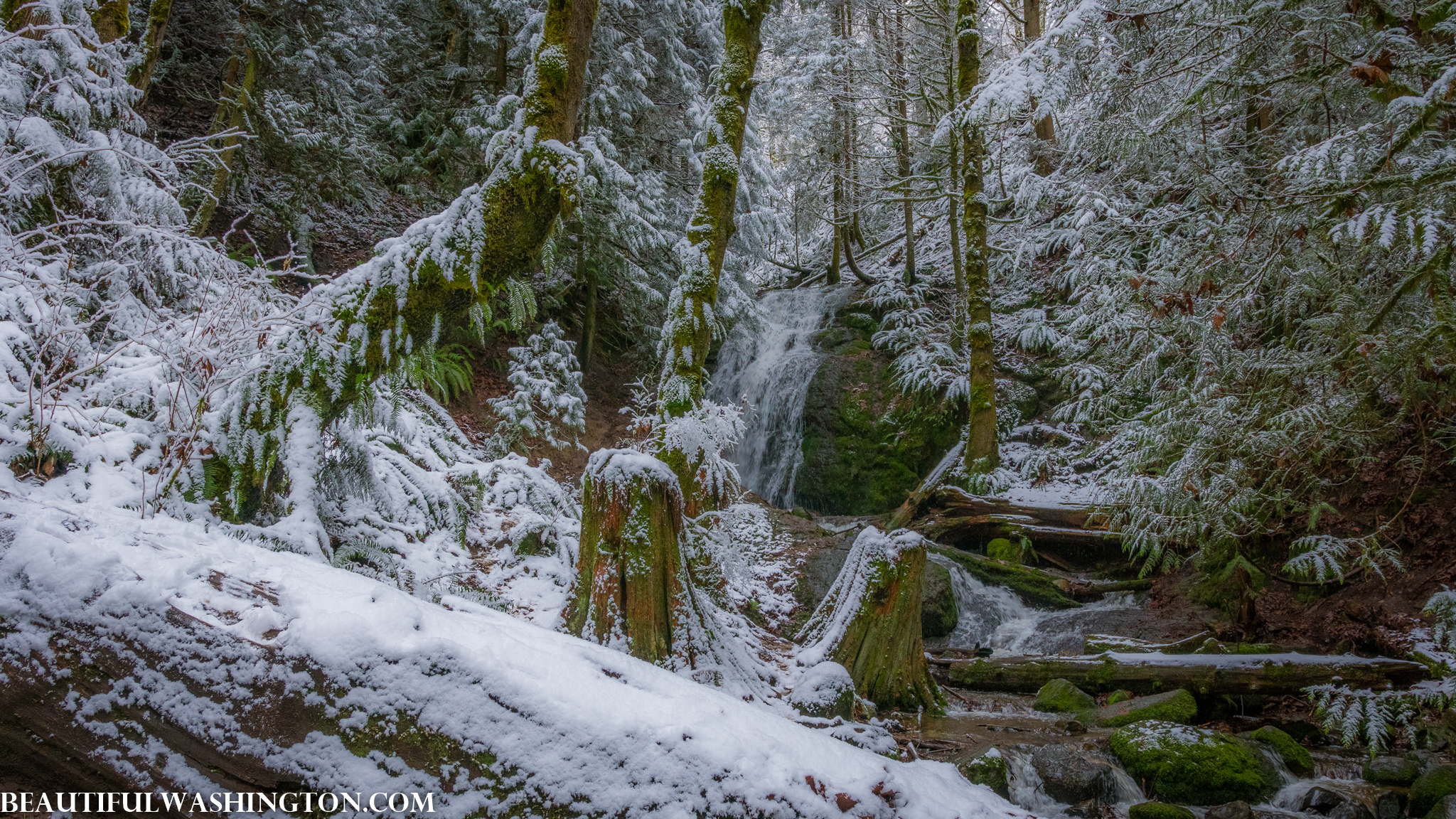 Photo from Washington State