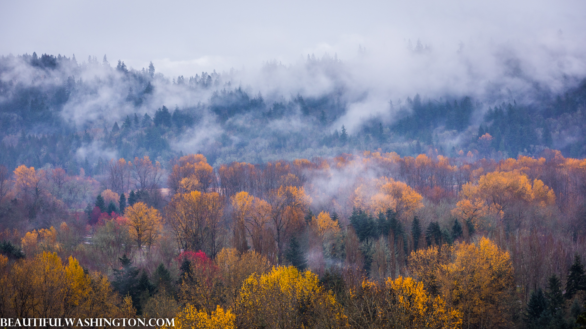 Photo from Washington State