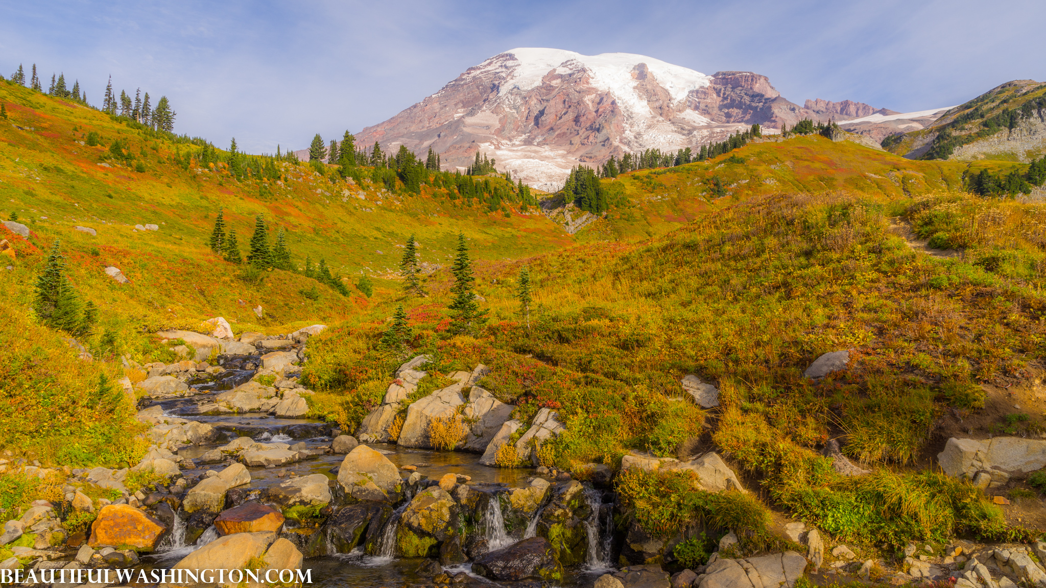 Photo from Washington State