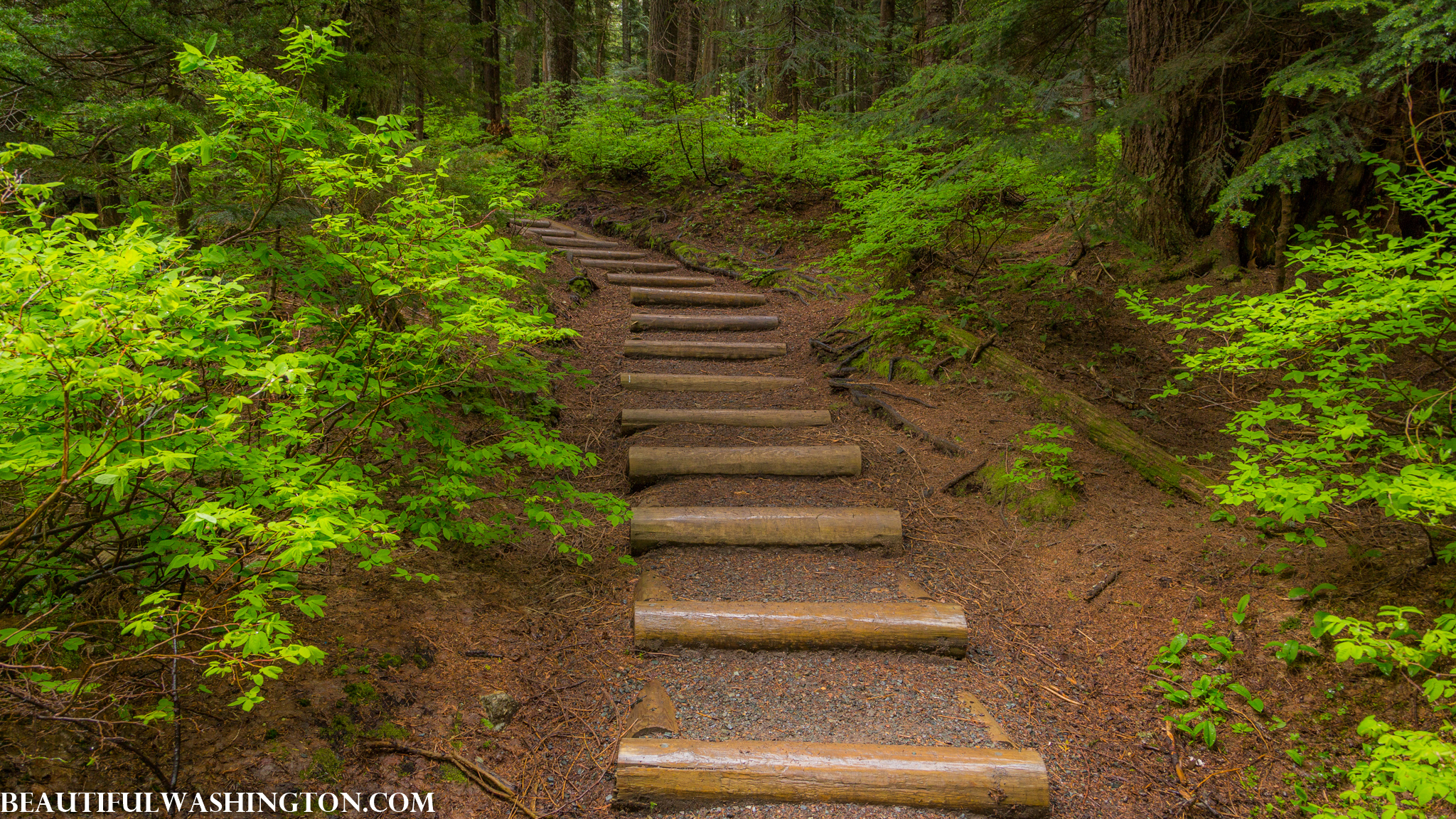 Photo from Washington State