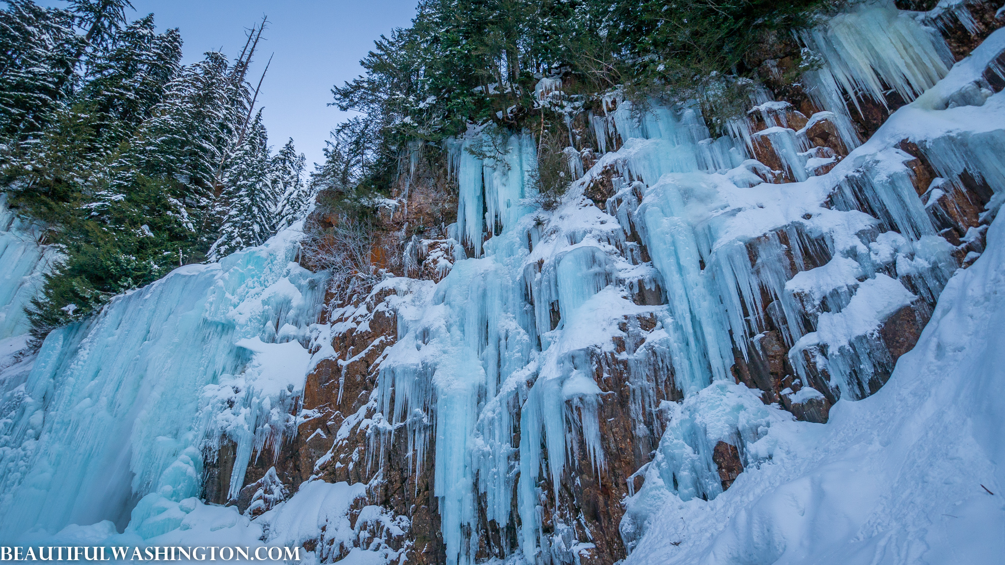 Photo from Washington State