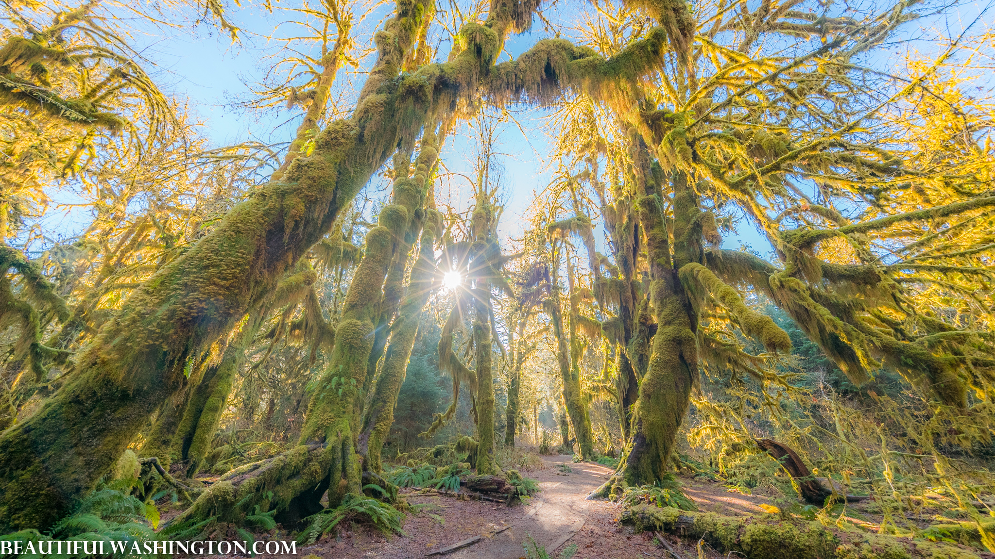 Photo from Washington State