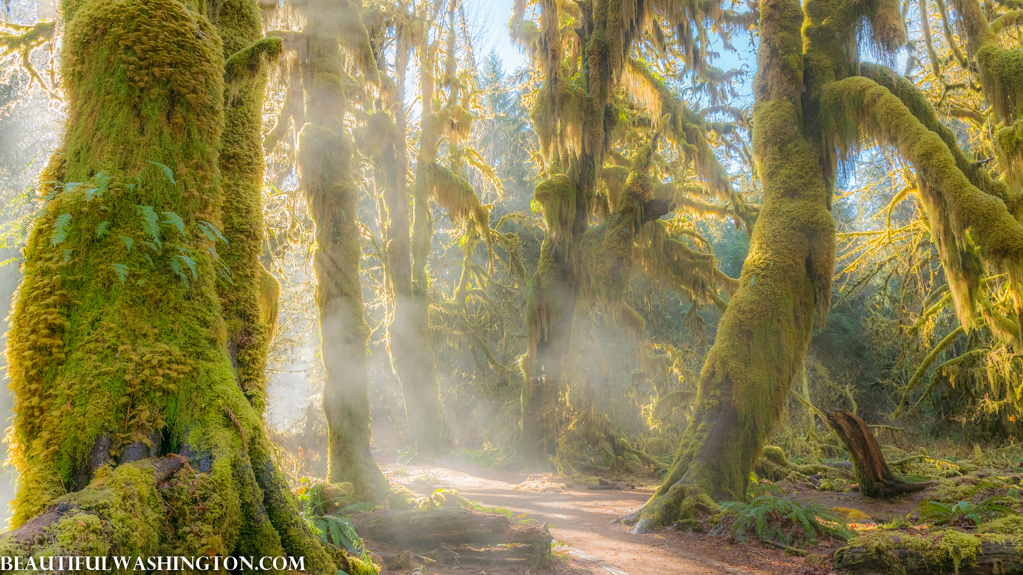 Photo from Washington State