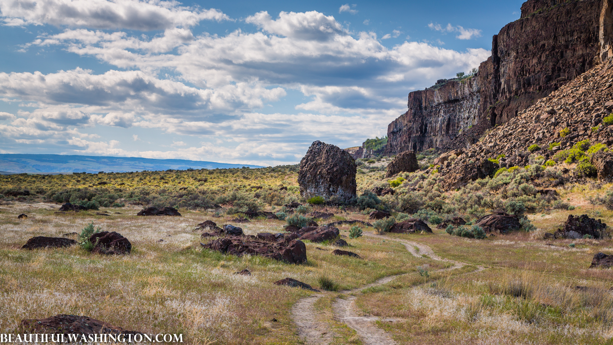 Photo from Washington State