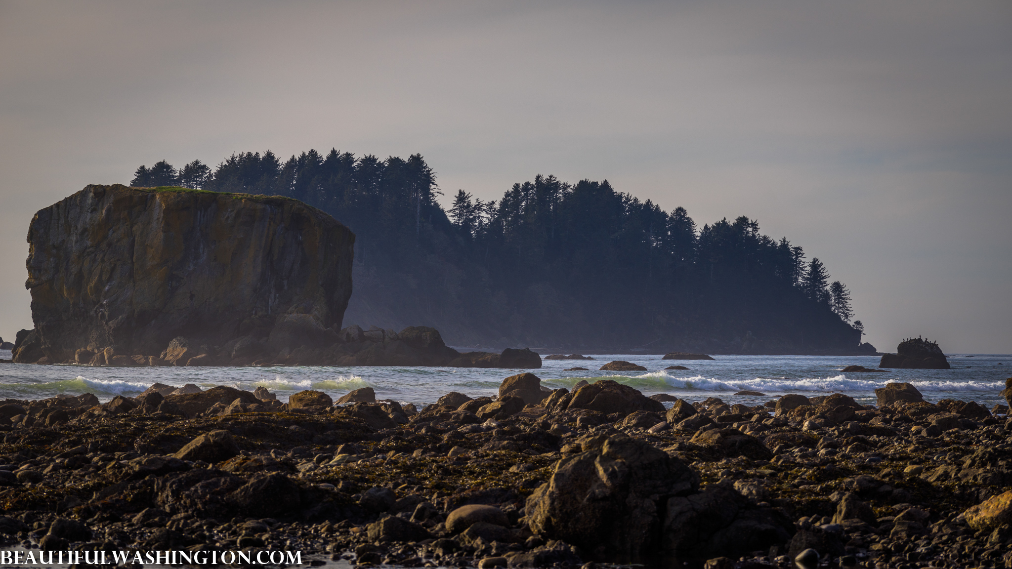 Photo from Washington State