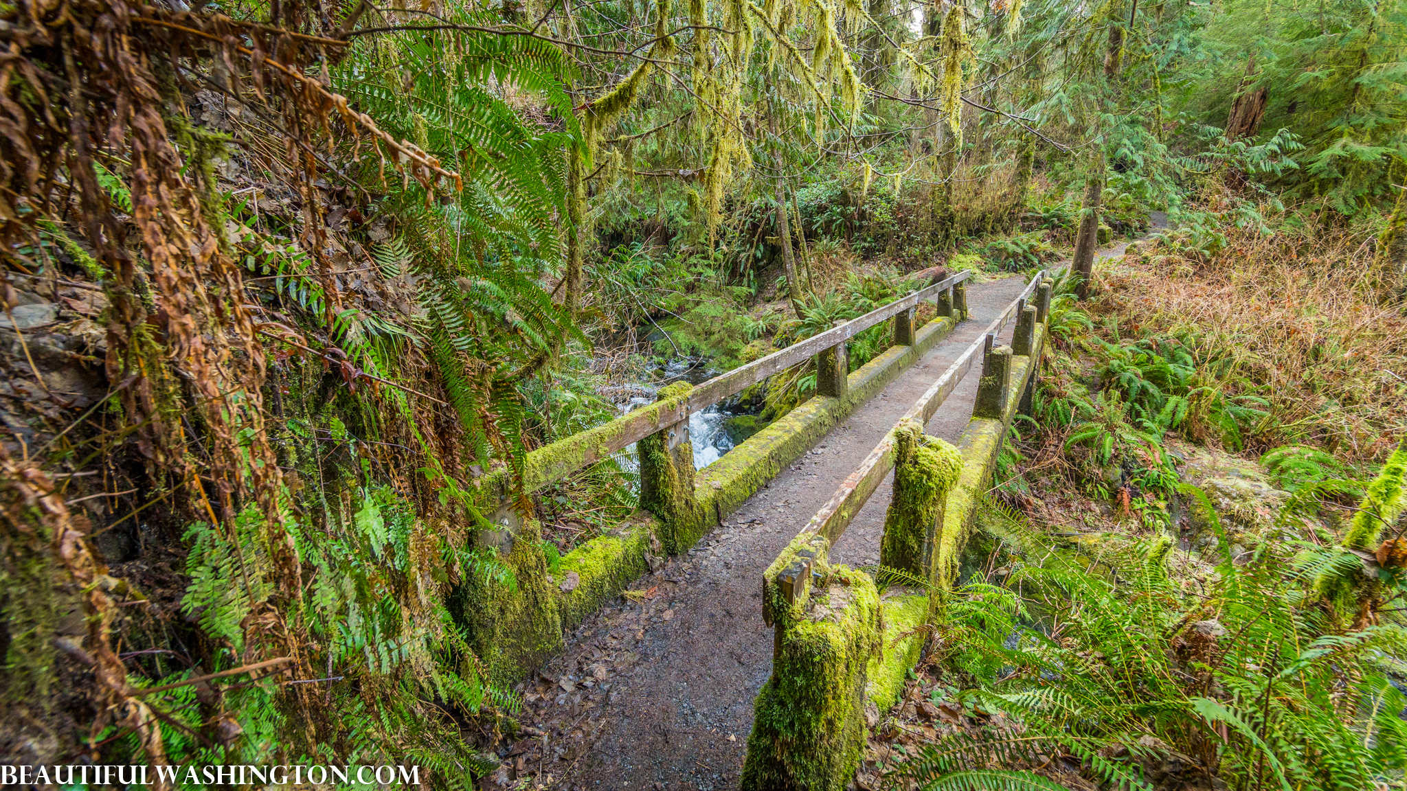 Photo from Washington State