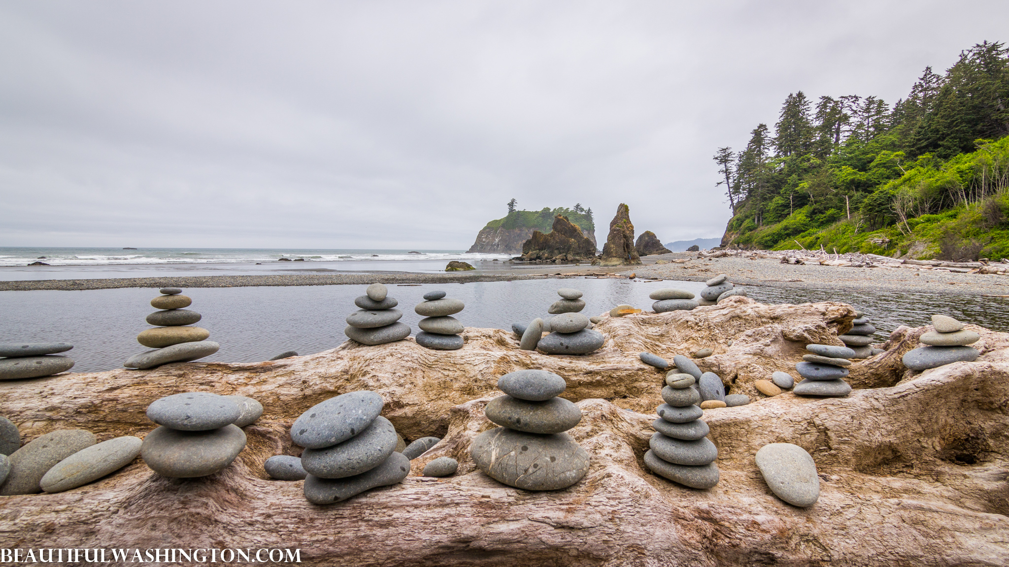 Photo from Washington State