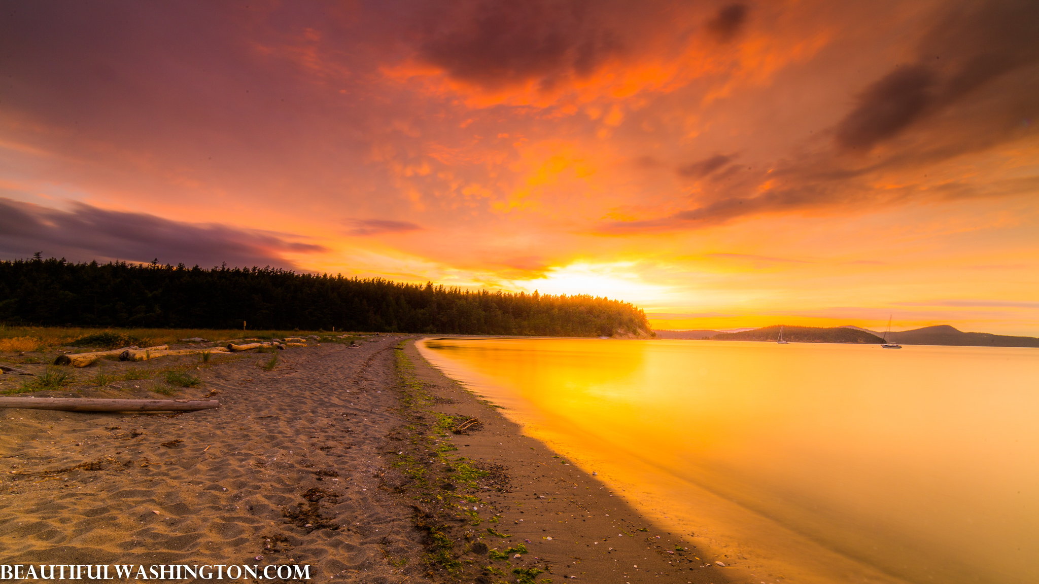 Photo from Washington State