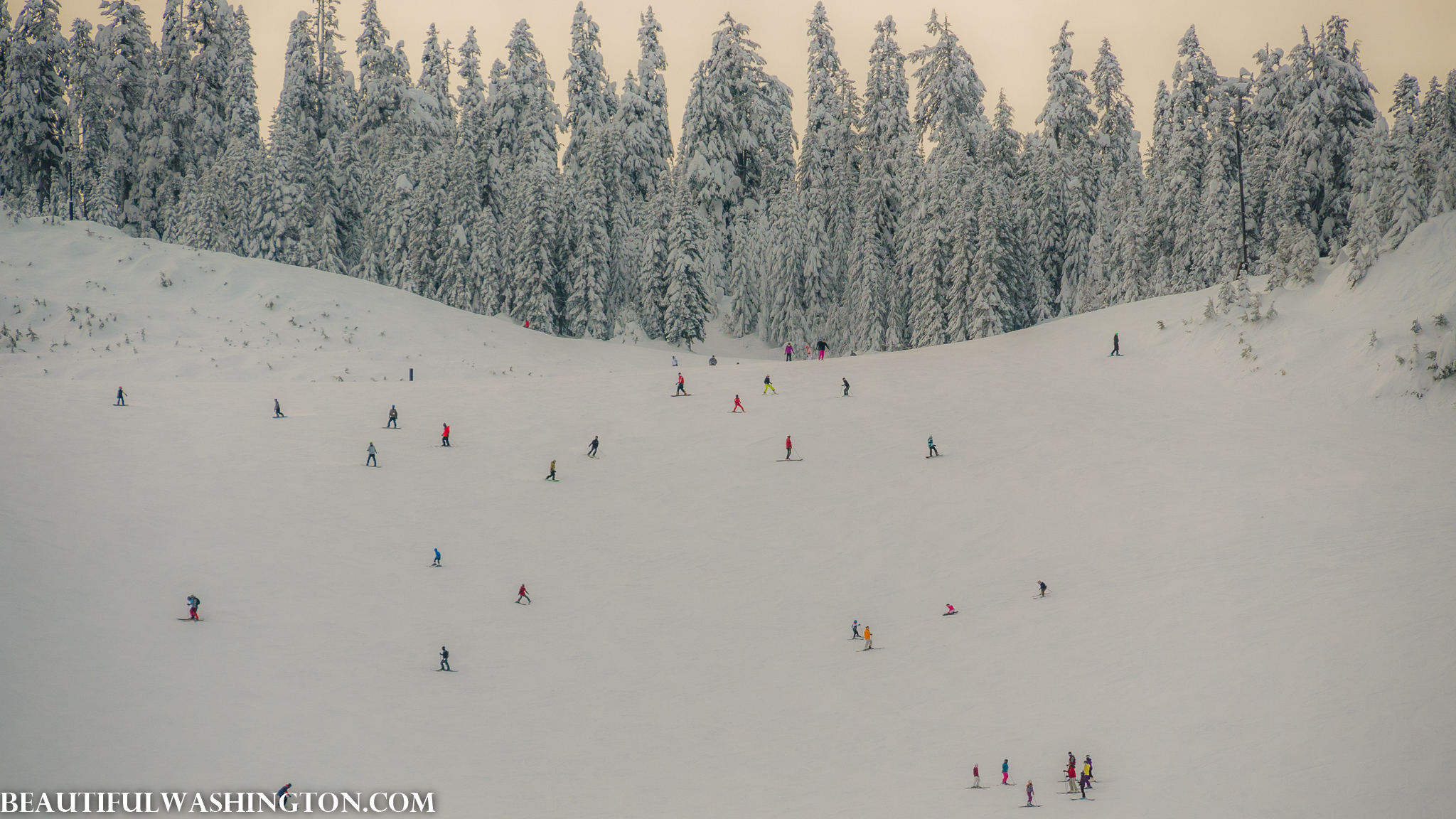 Photo from Washington State