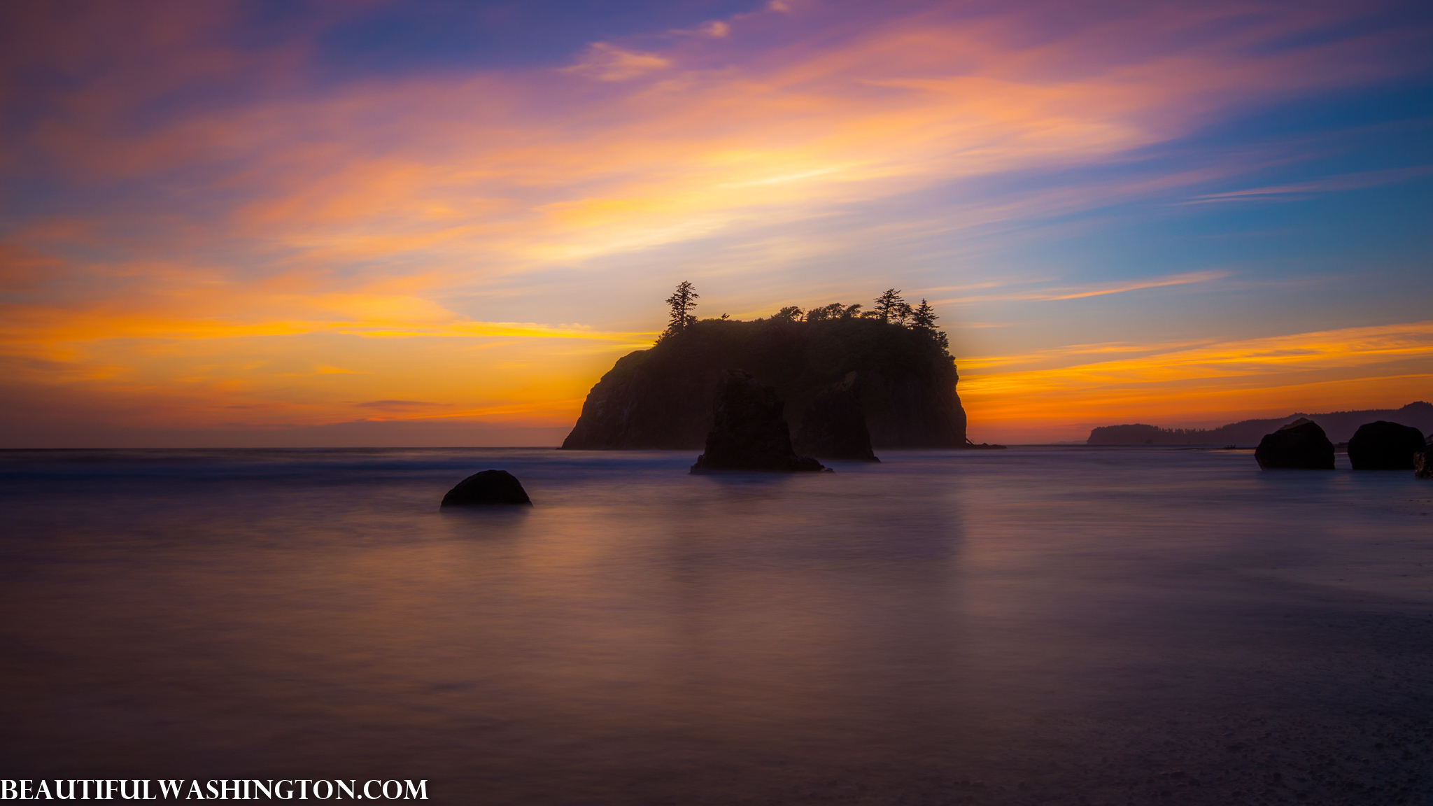 Photo from Washington State