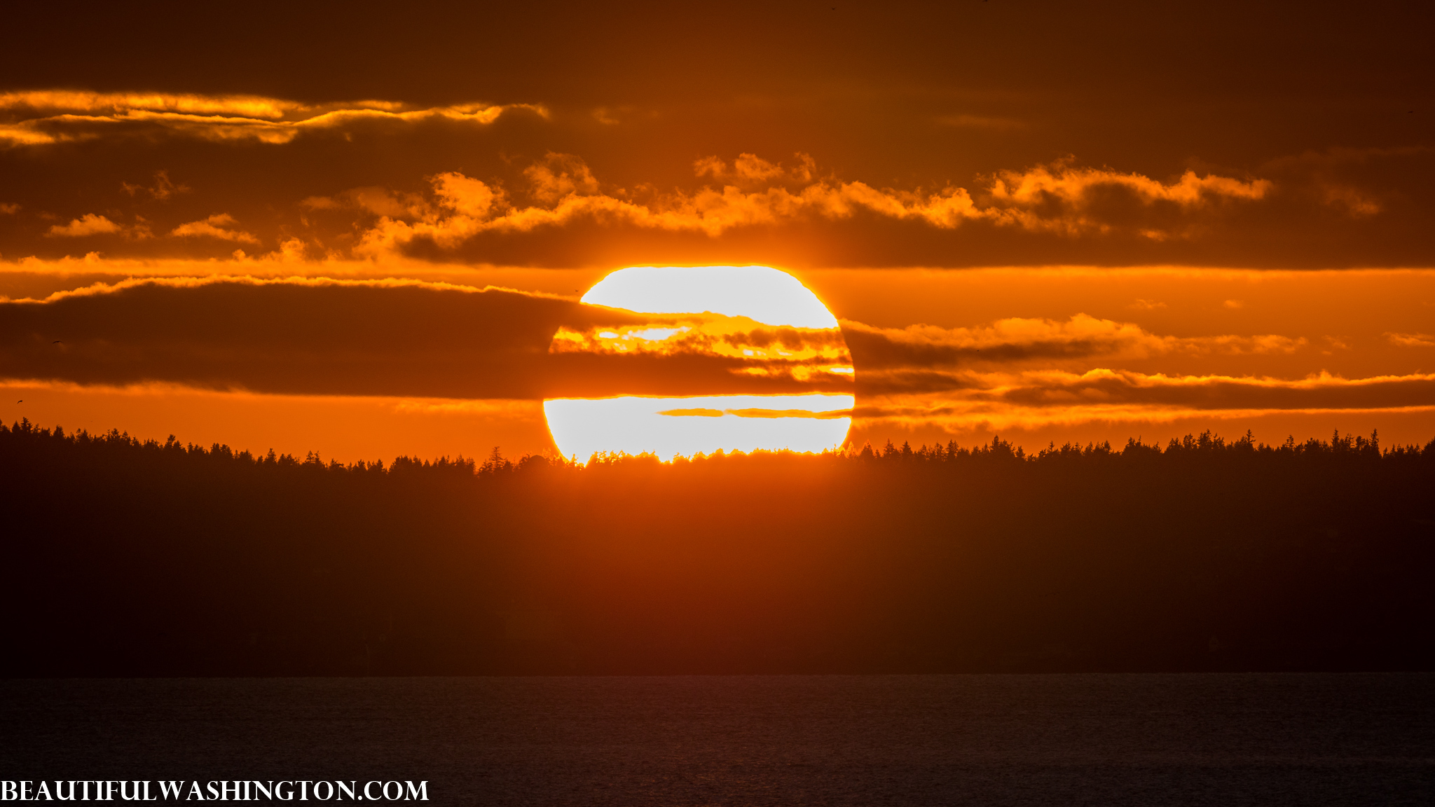 Photo from Washington State