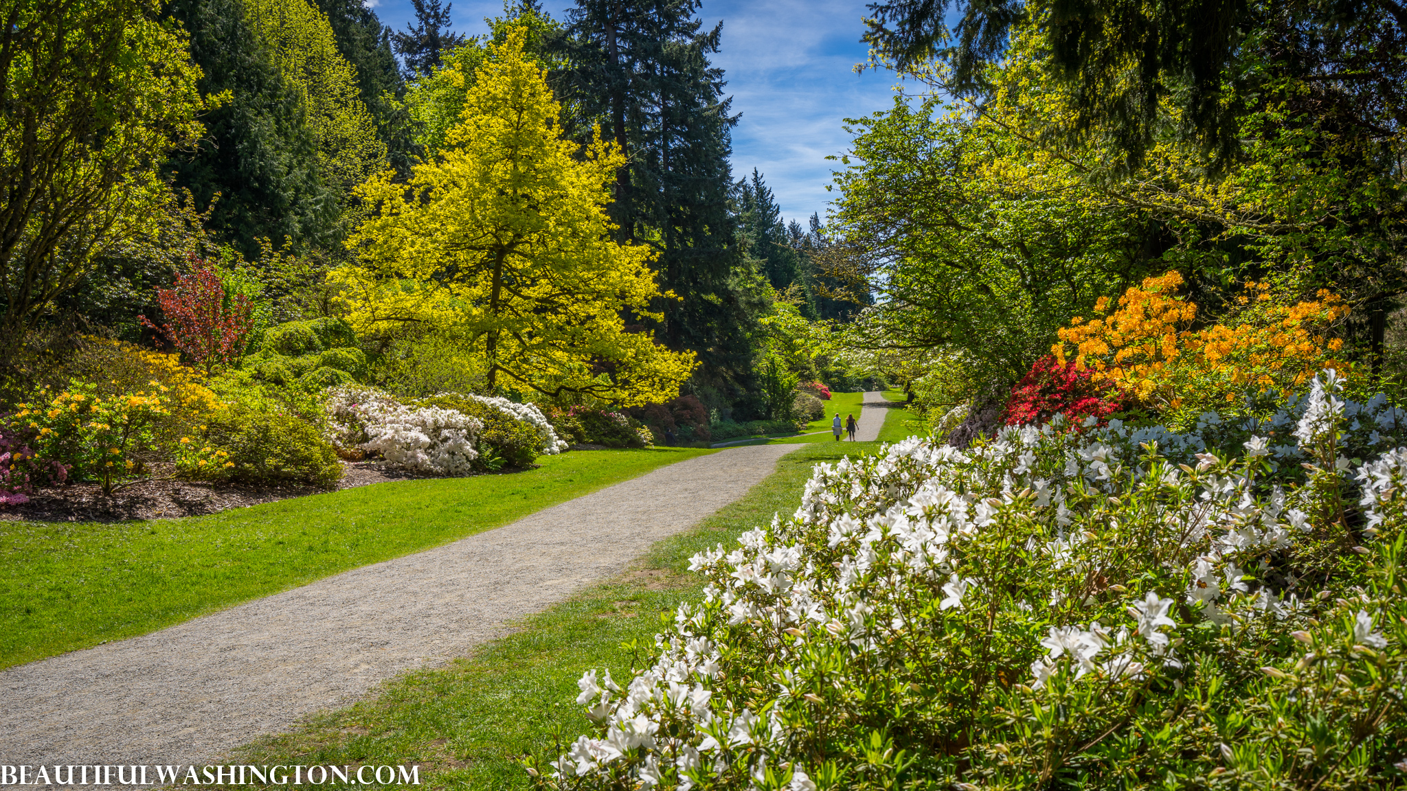 Photo from Washington State